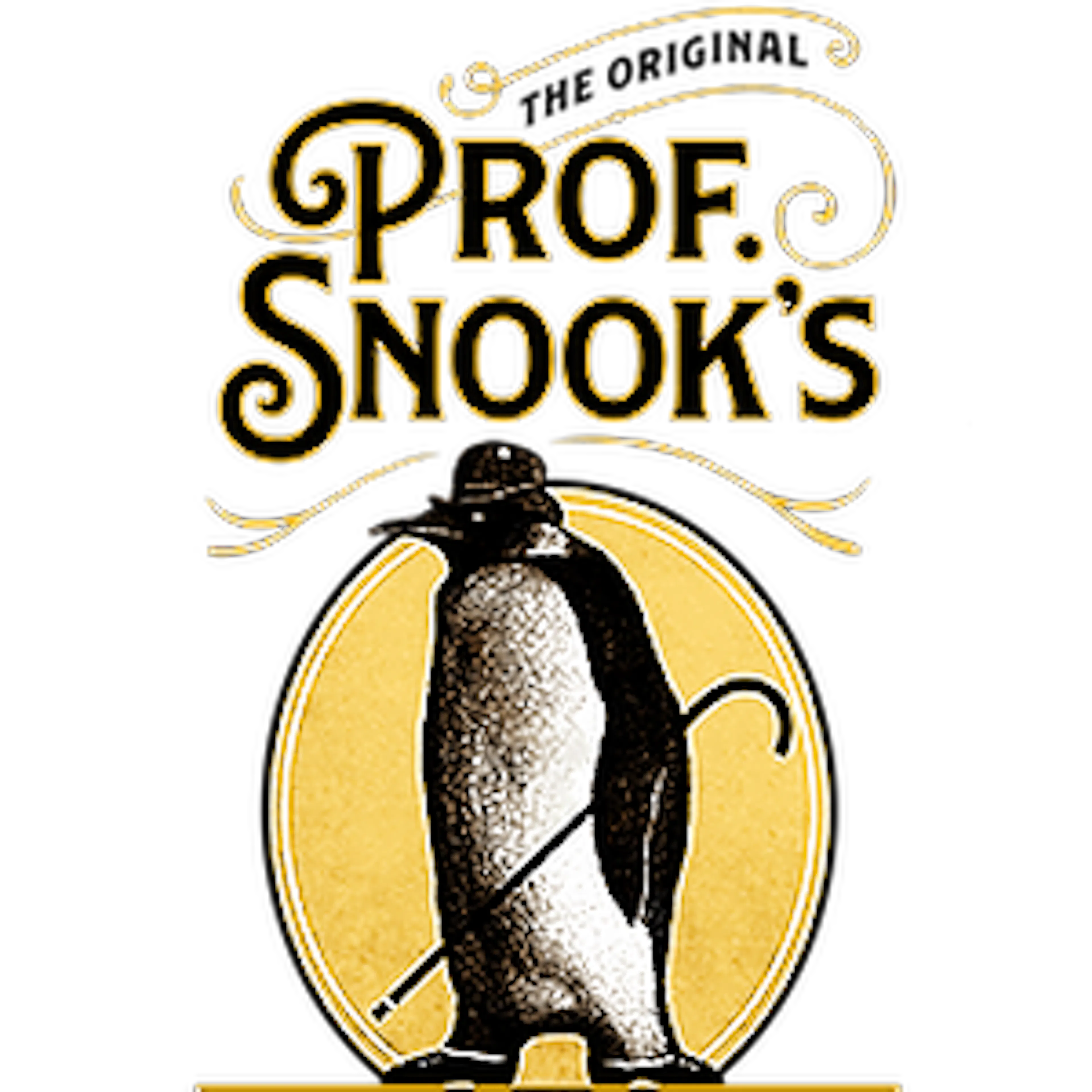 Professor Snook's logo