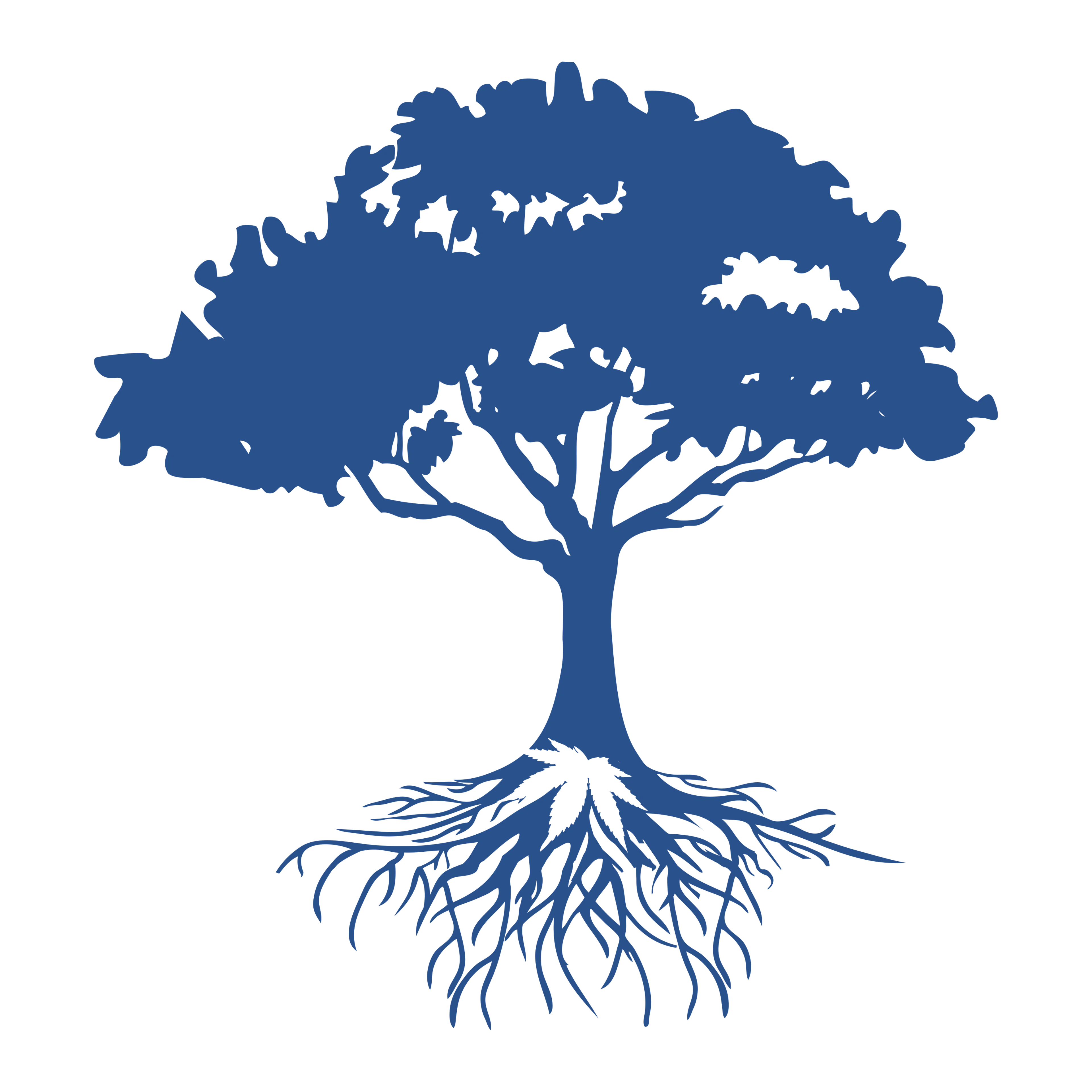 Blue Roots Cannabis Co. logo