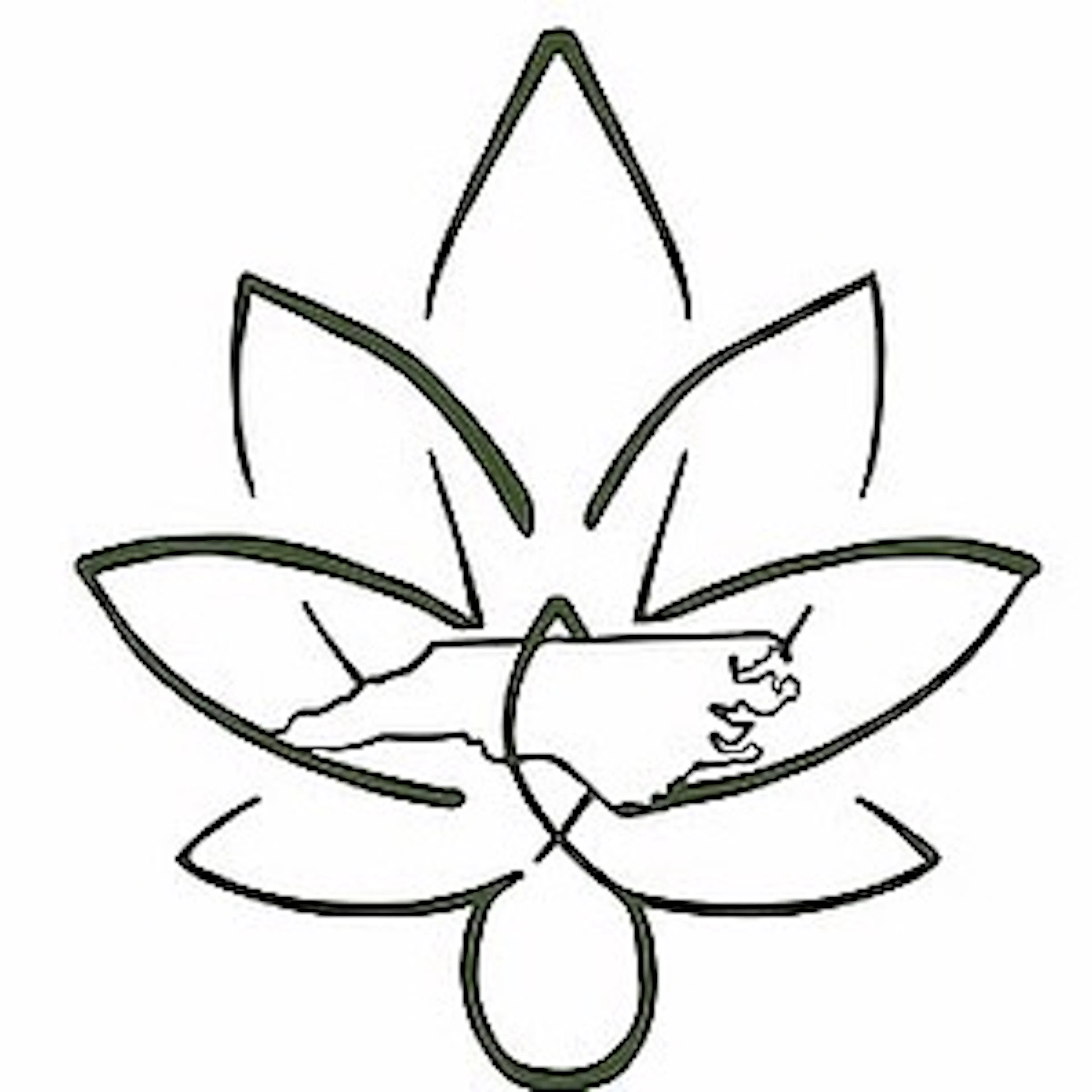 Piedmont Hemp Co LLC logo