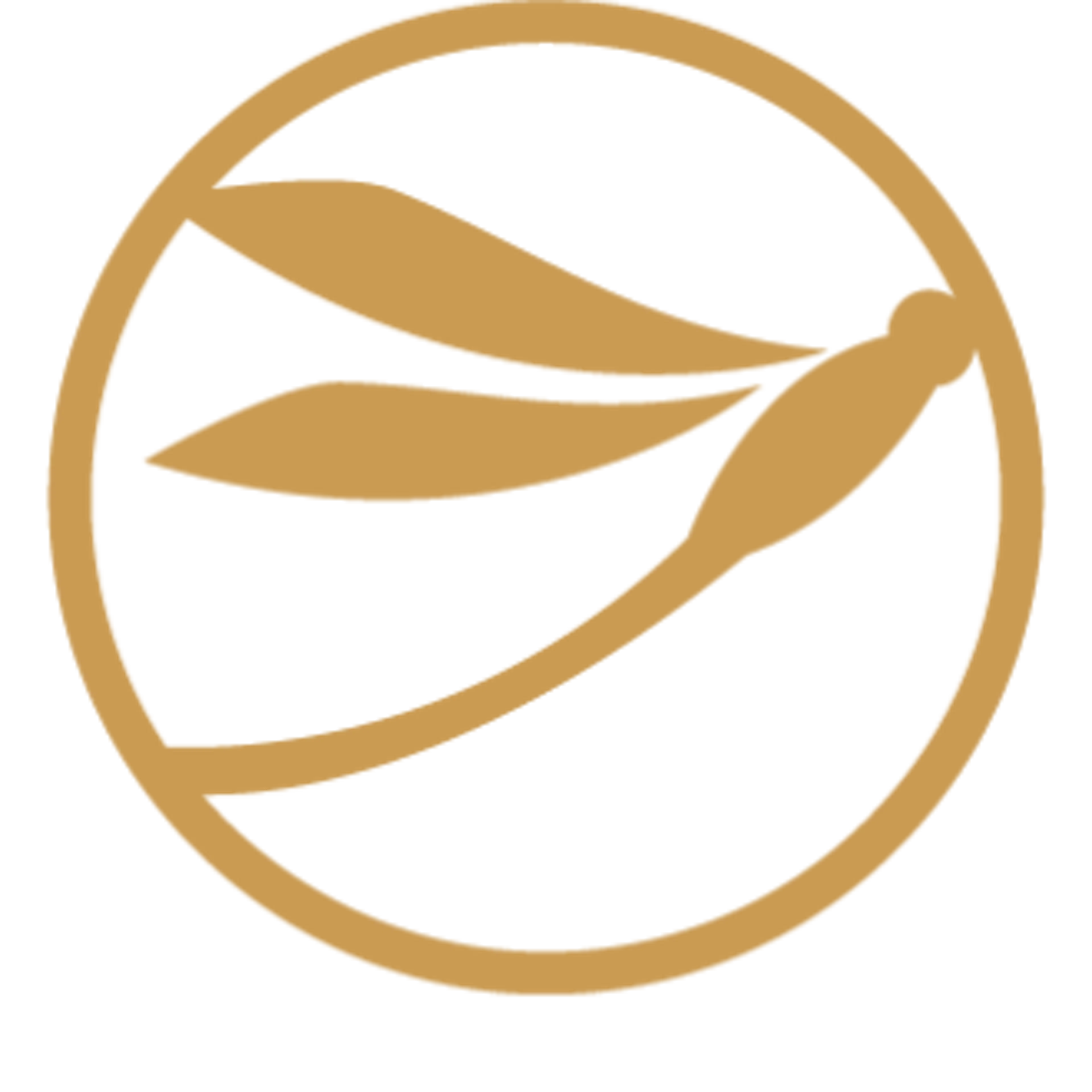 Amberwing Organics logo