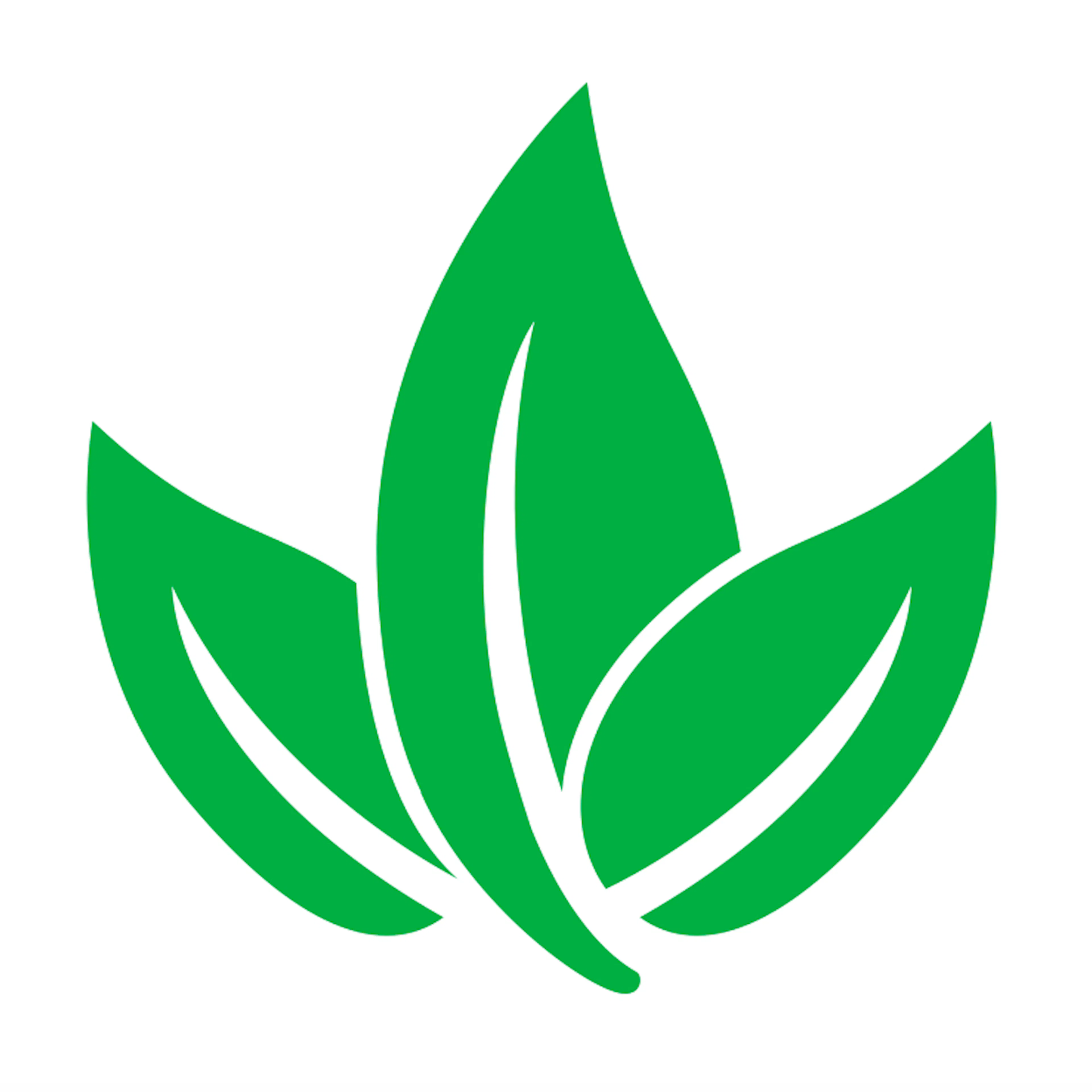 The CO2 Company logo