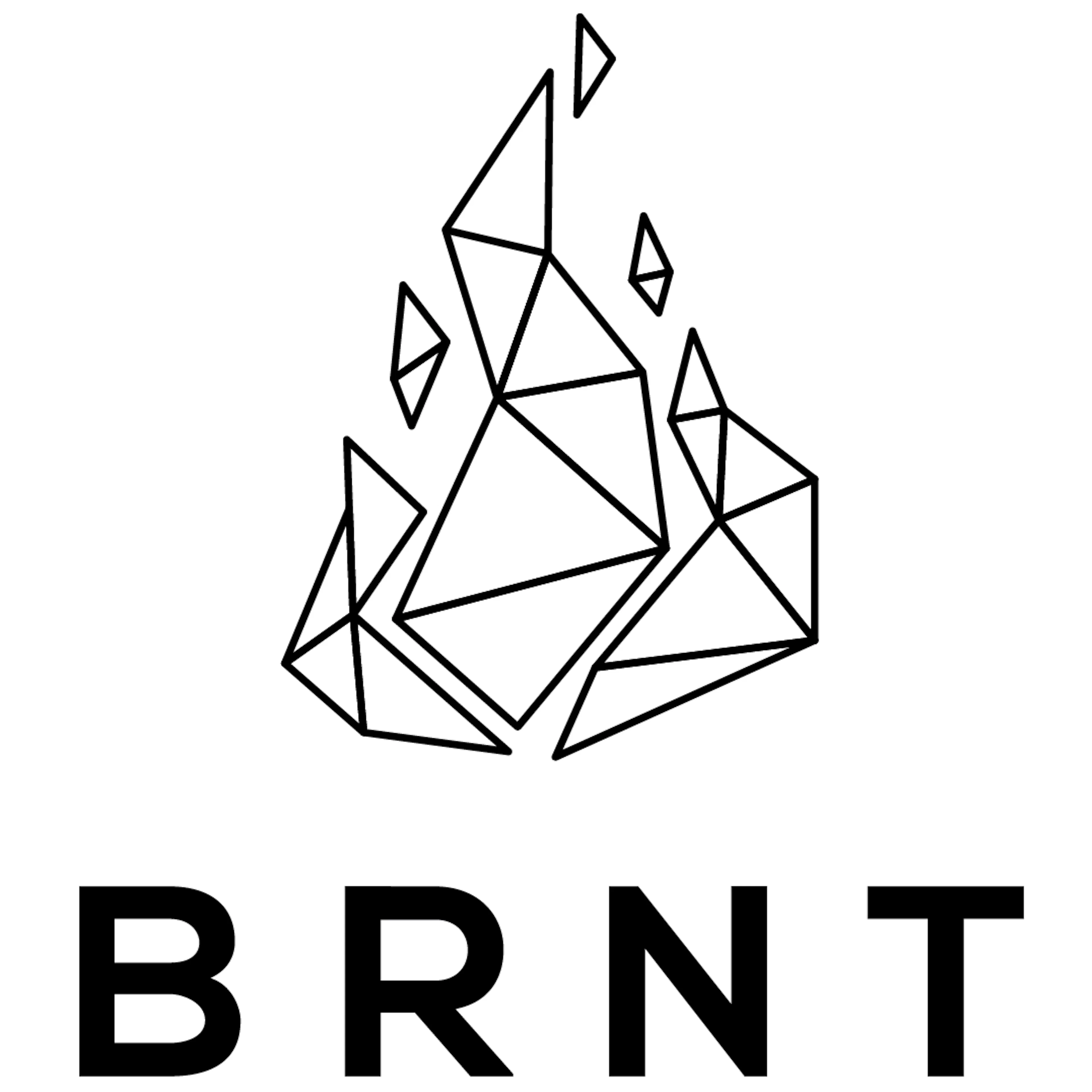 BRNT Designs logo