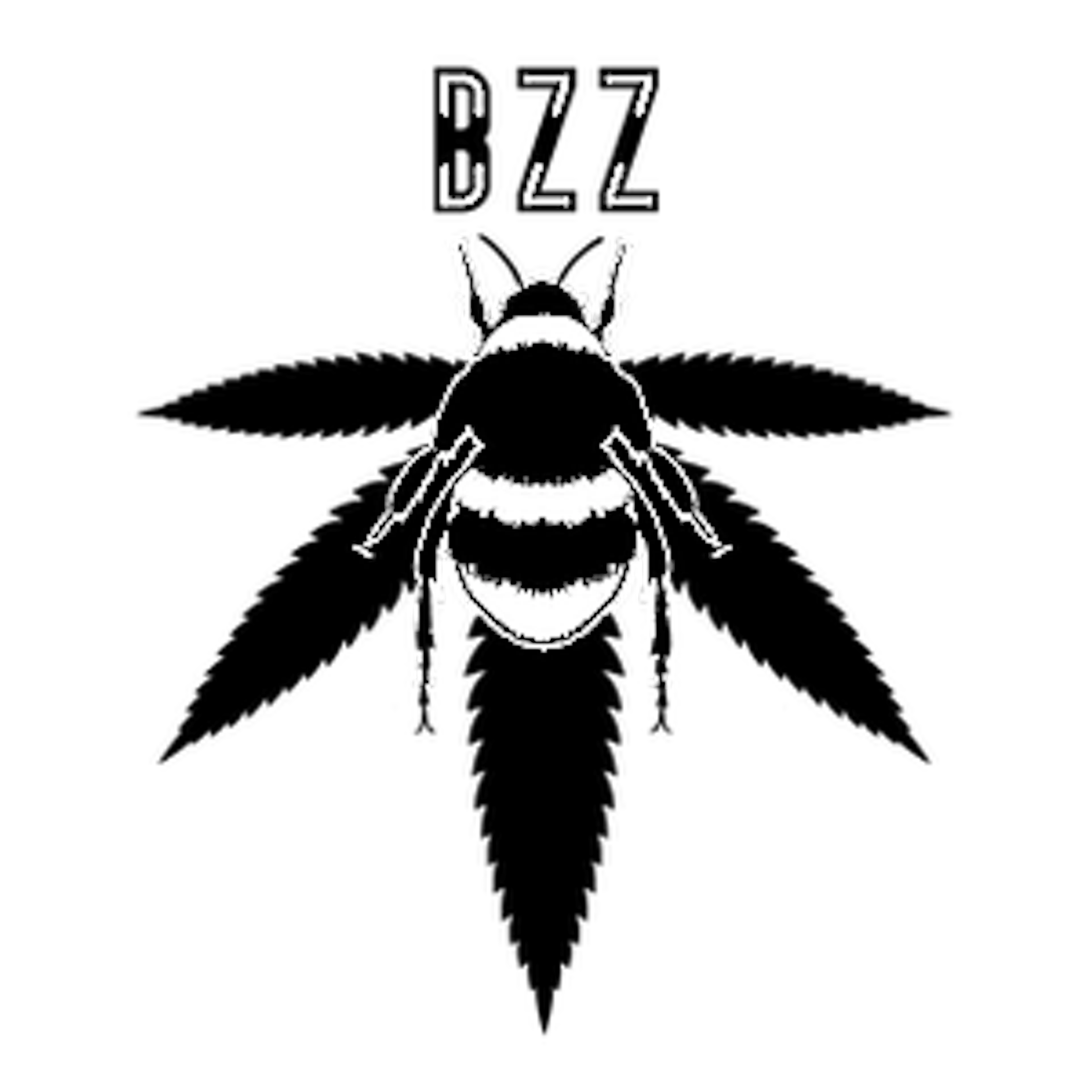 Bzz Box logo