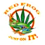 Logo for the brand Red Frog Cannabis