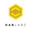Logo for the brand DabLabz