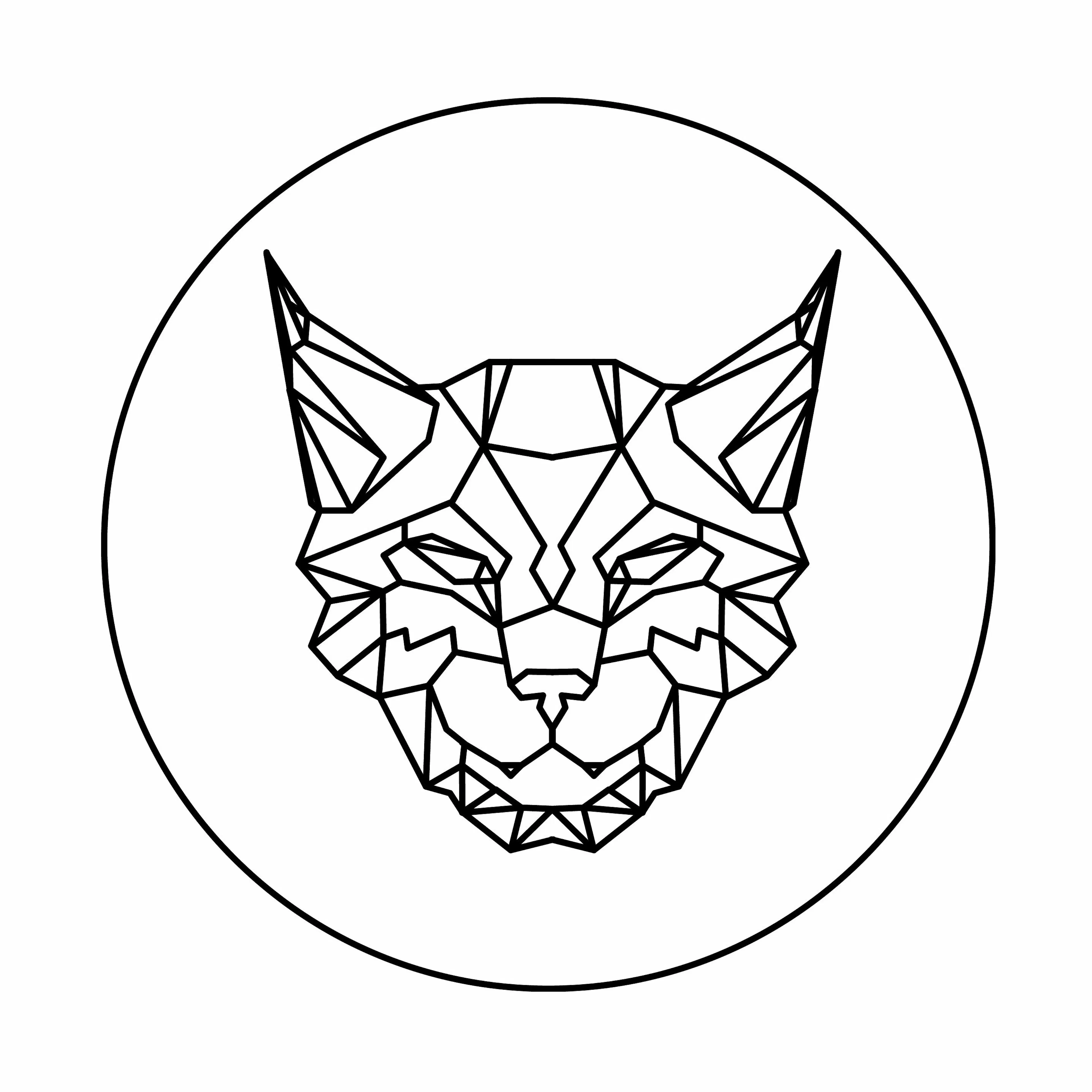 Linx Vapor logo