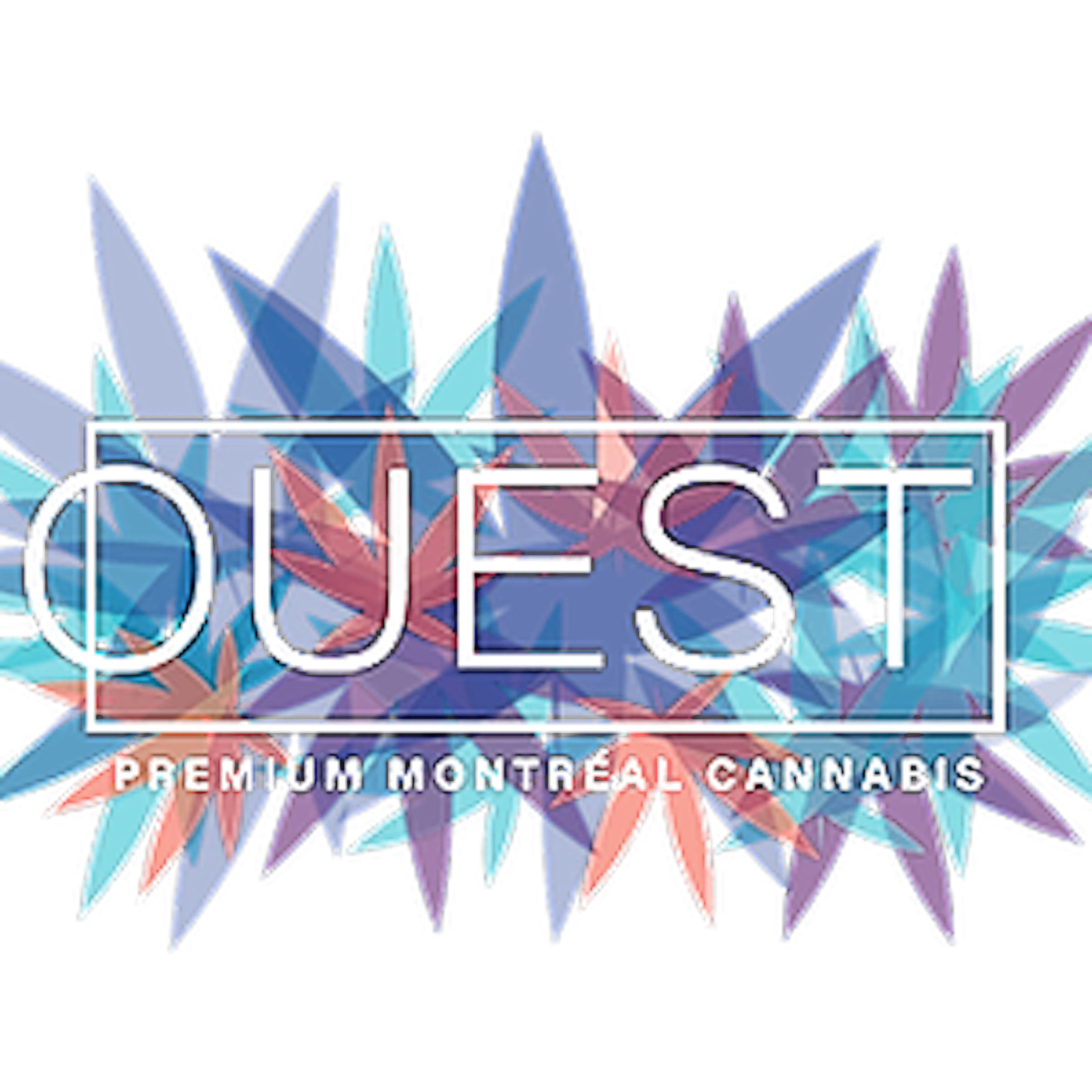 Ouest logo