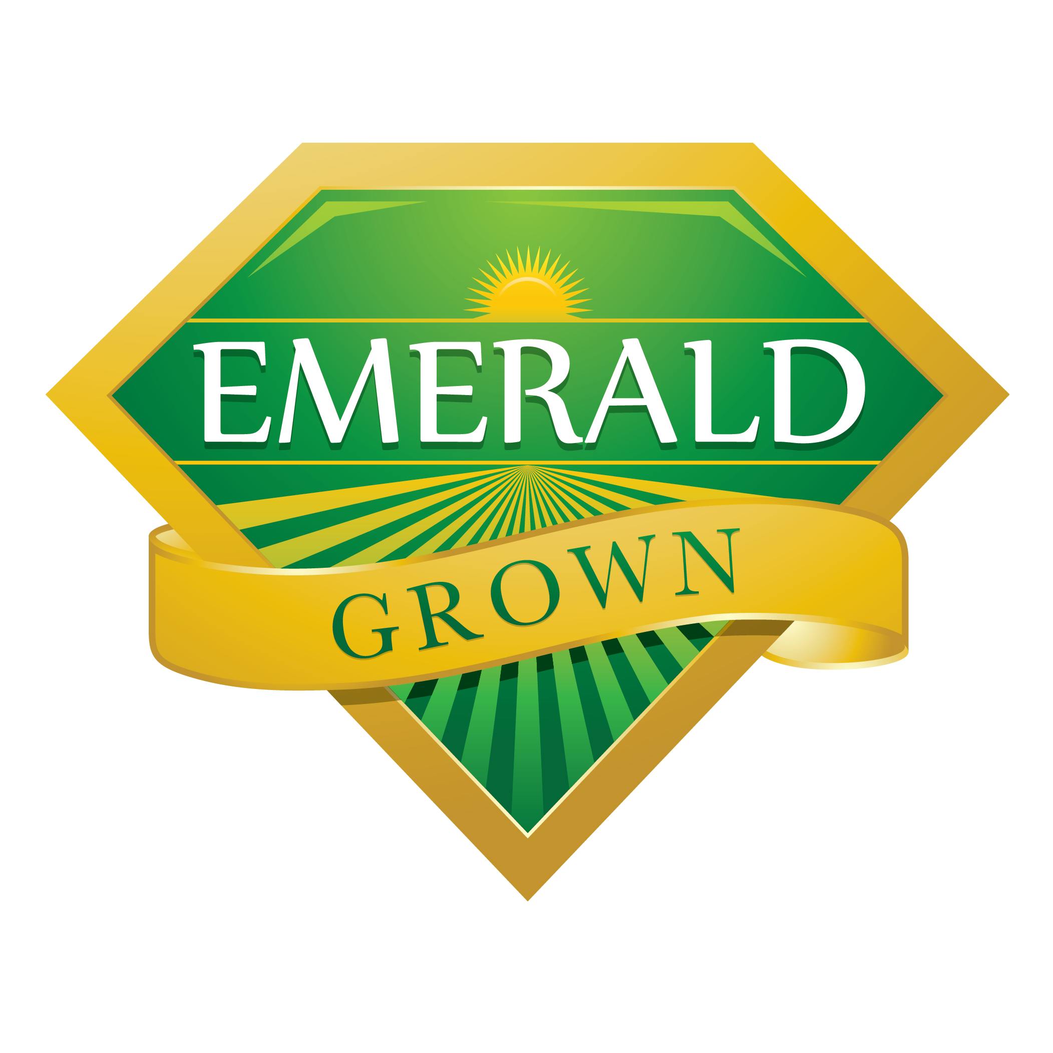 Emerald Leaf Cannabis Clinic Website – YXYKU