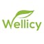 Logo for the brand Wellicy