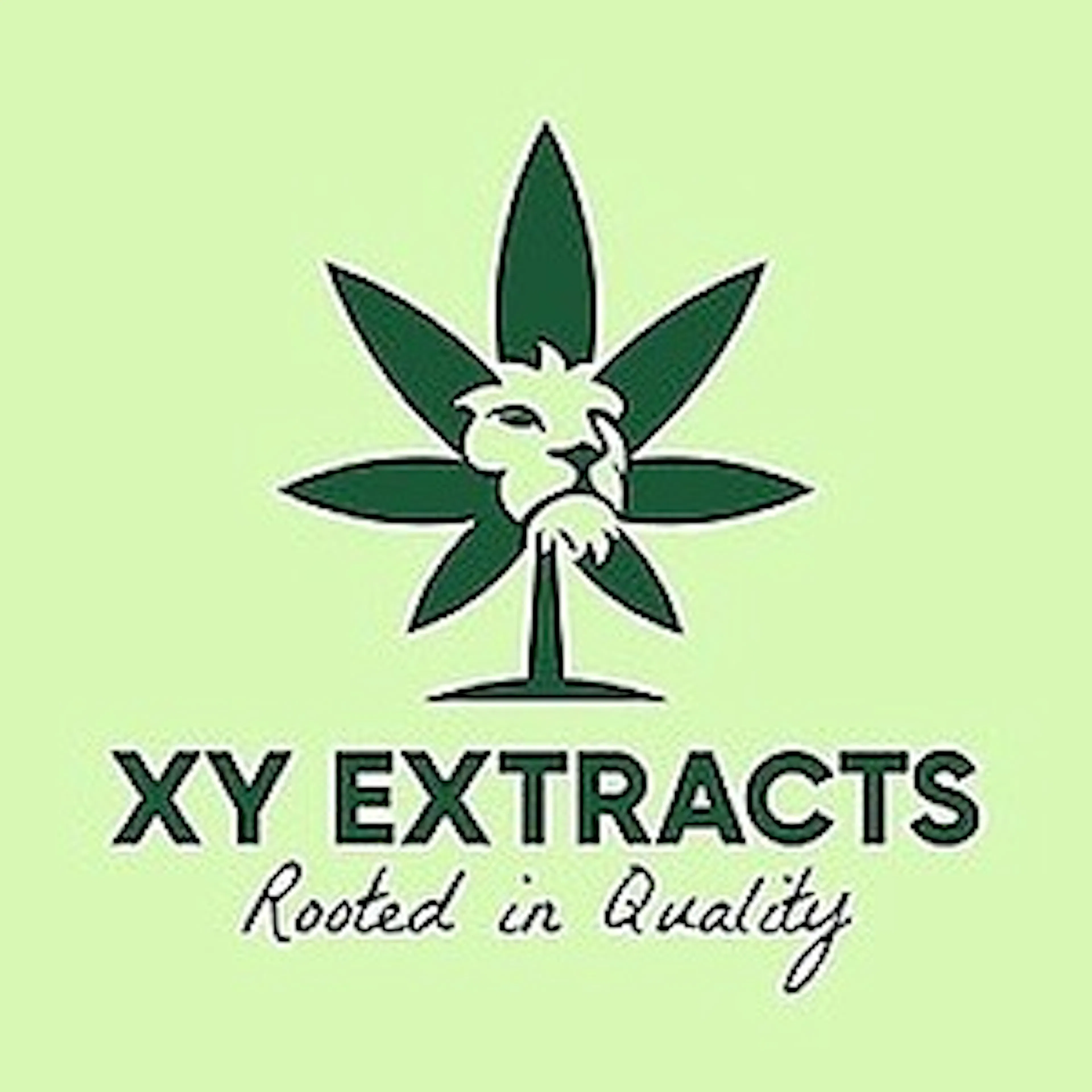 XY EXTRACTS logo