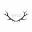 Logo for the brand Wyld