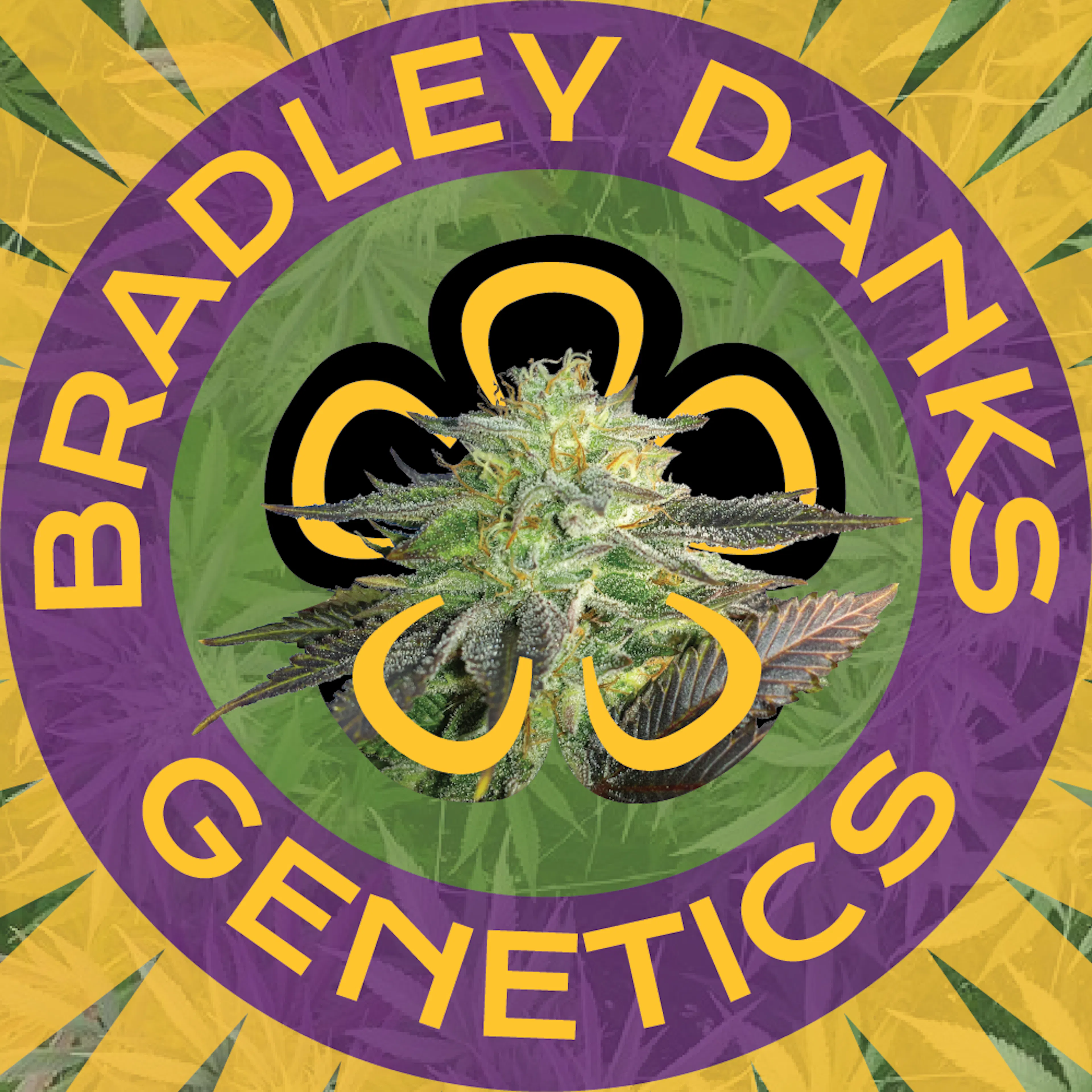 Bradley Danks Genetics logo