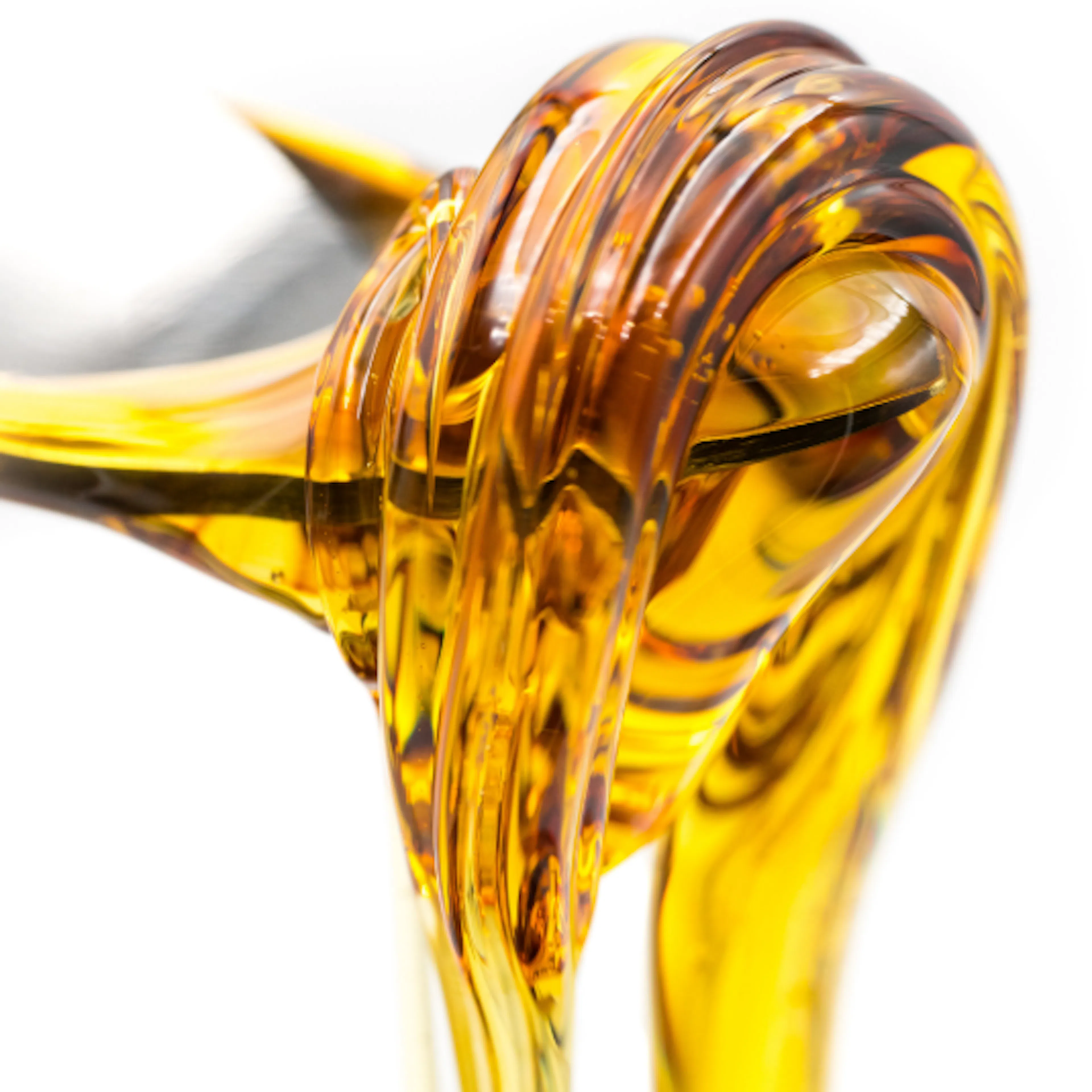 Colorado Cannabis Photo logo