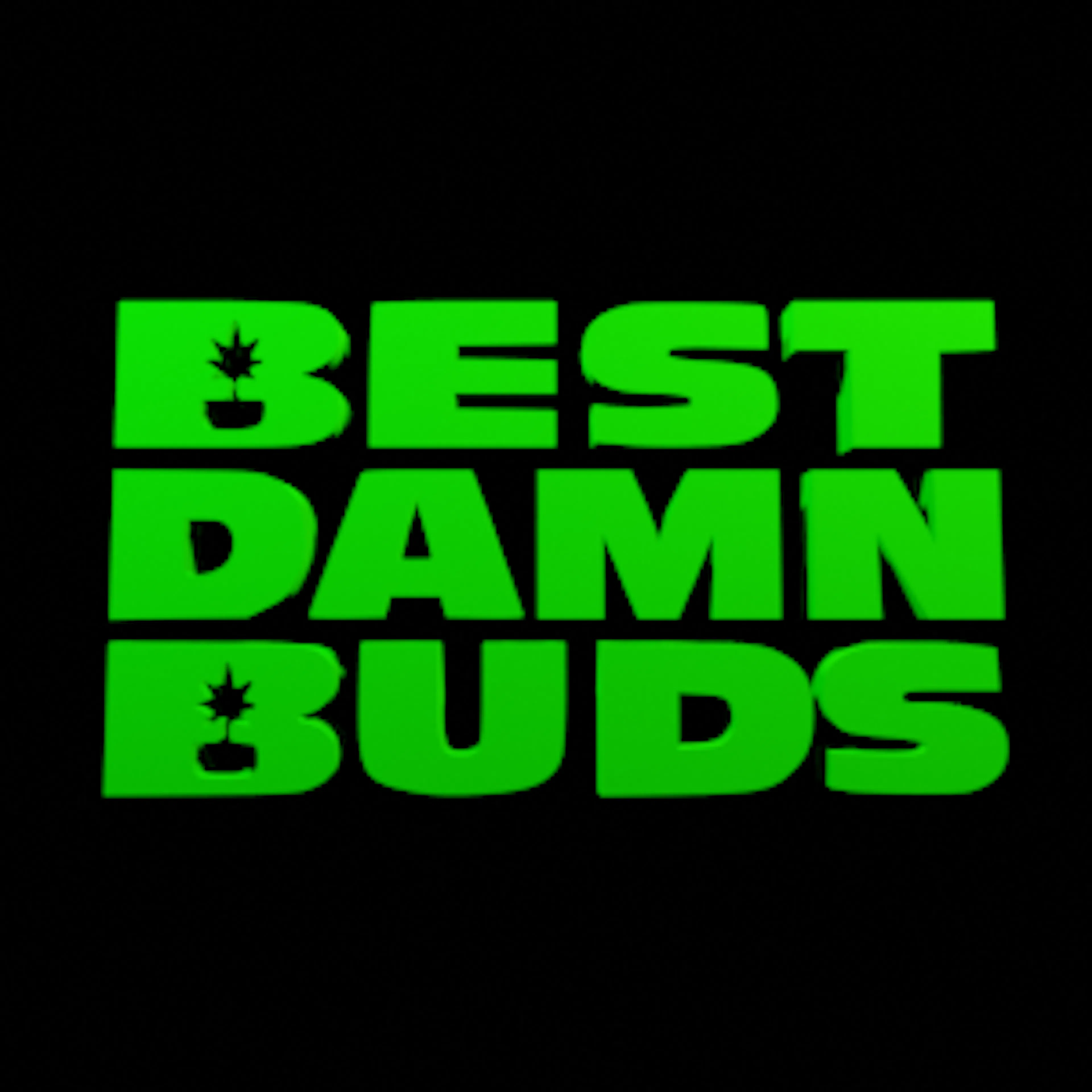 The Best Damn Buds logo