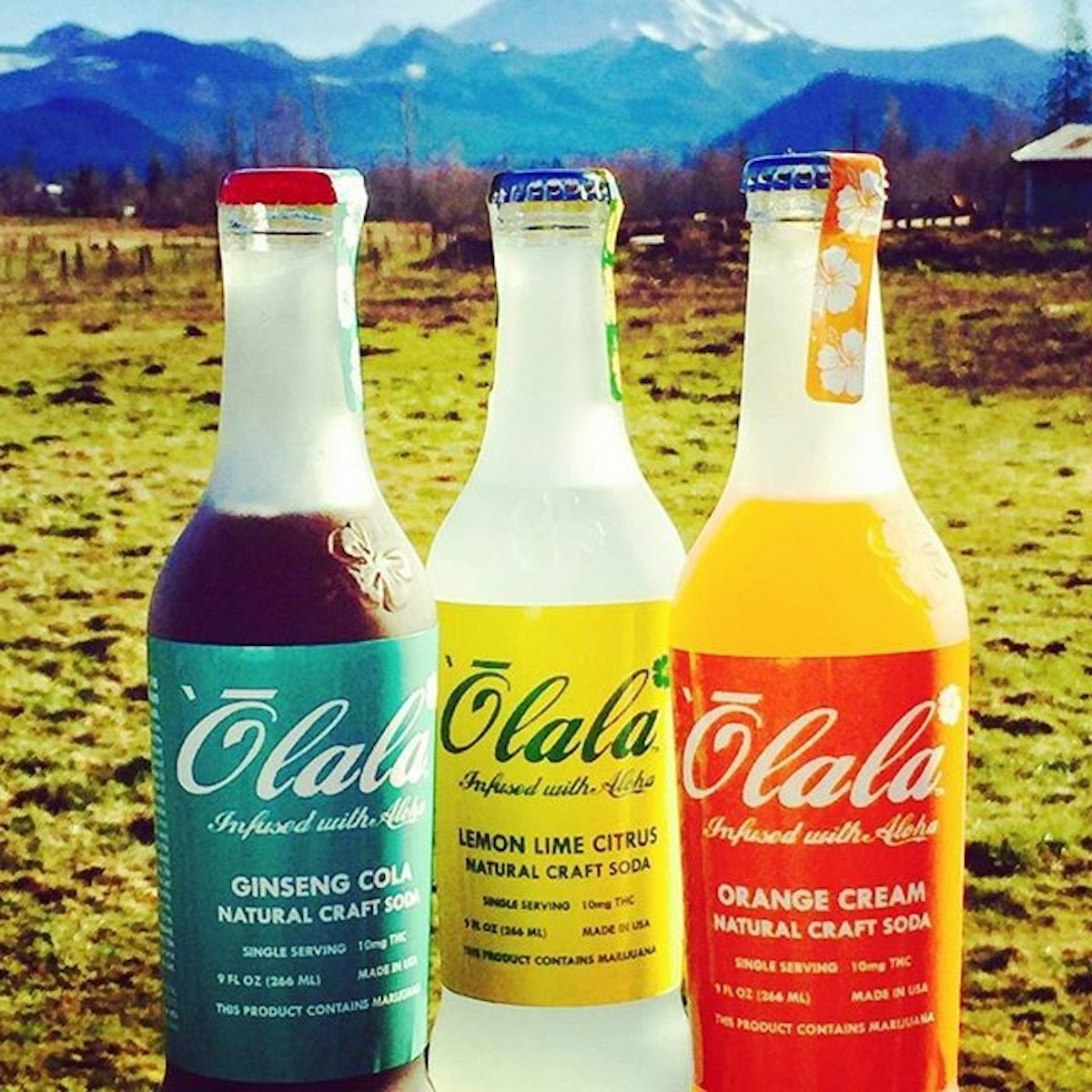 Perfect Union of Cannabis and Fruit: Olala's Amazing Infused Sodas Will  Light Up Your Taste Buds