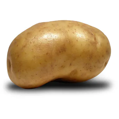 Brotato Games logo