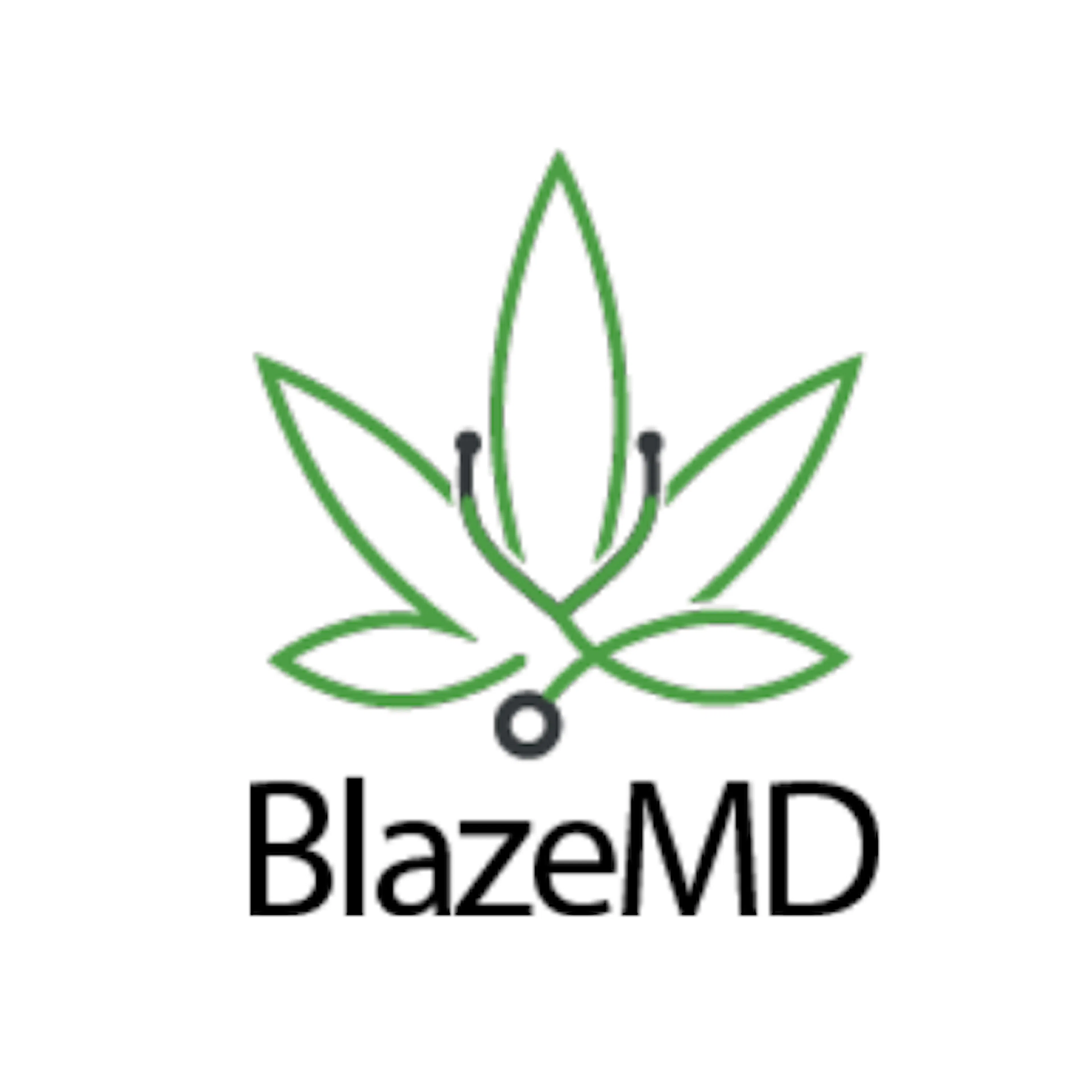 BlazeMD - Heal Naturally logo