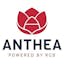 Logo for the brand Anthea