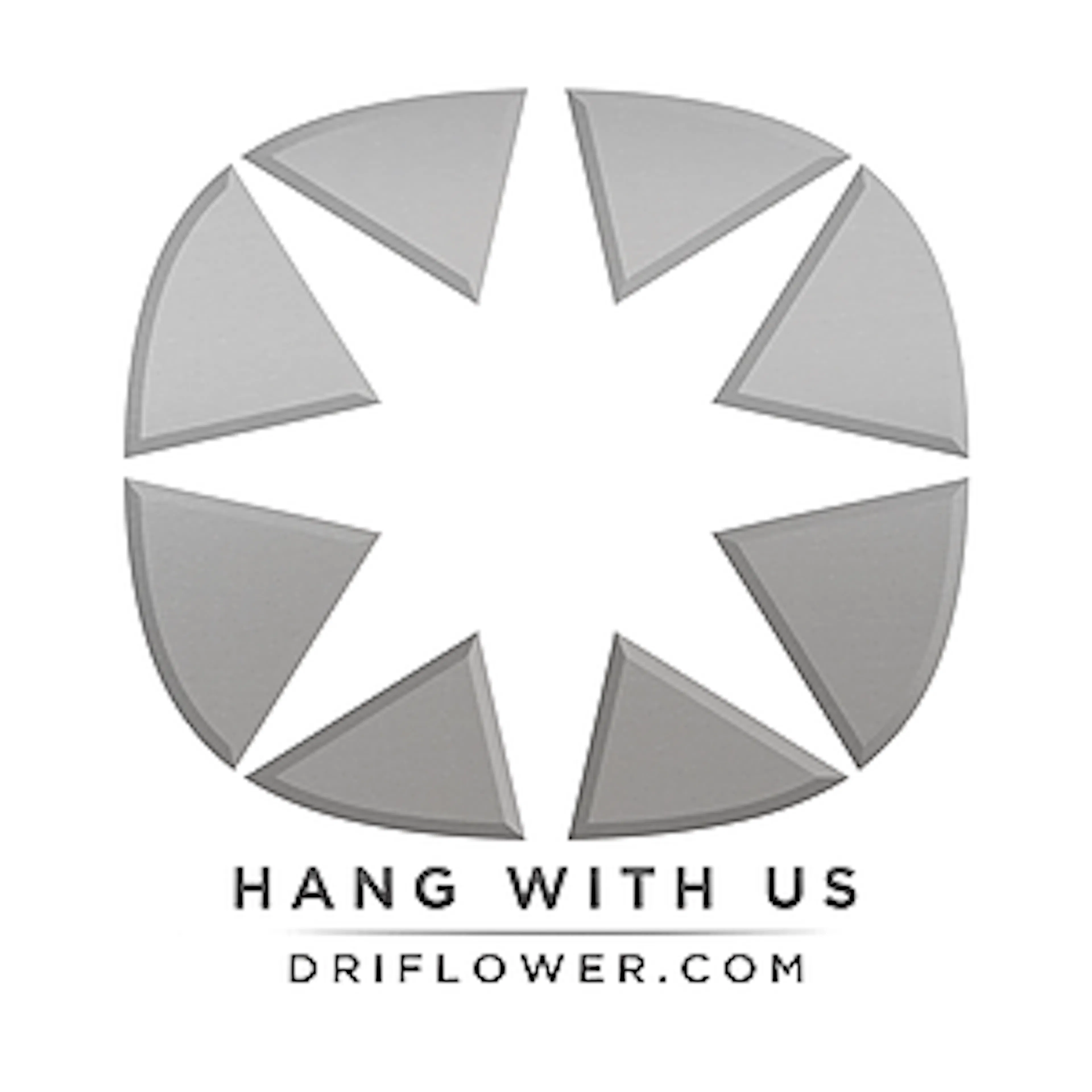 DriFlower logo