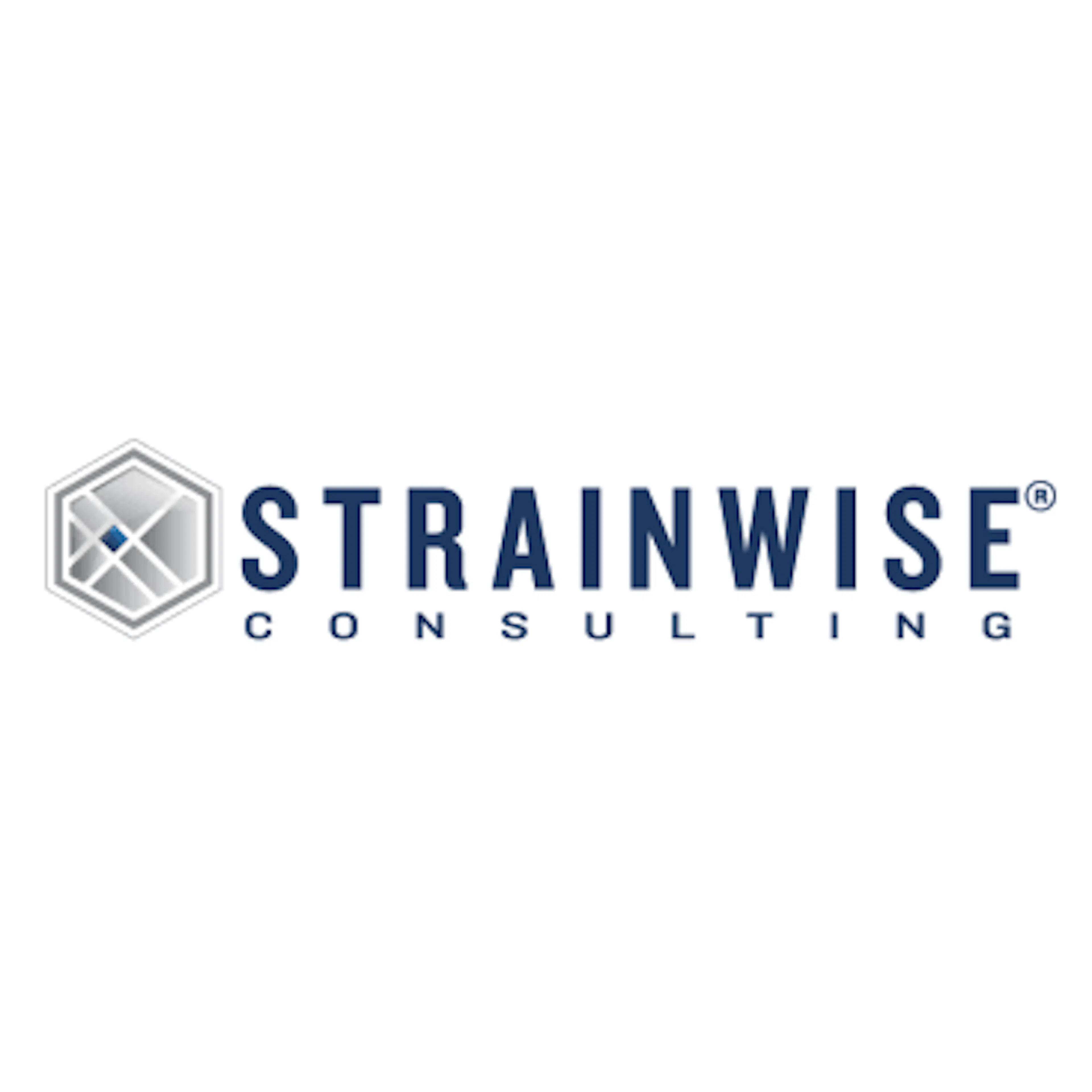 Strainwise Consulting logo