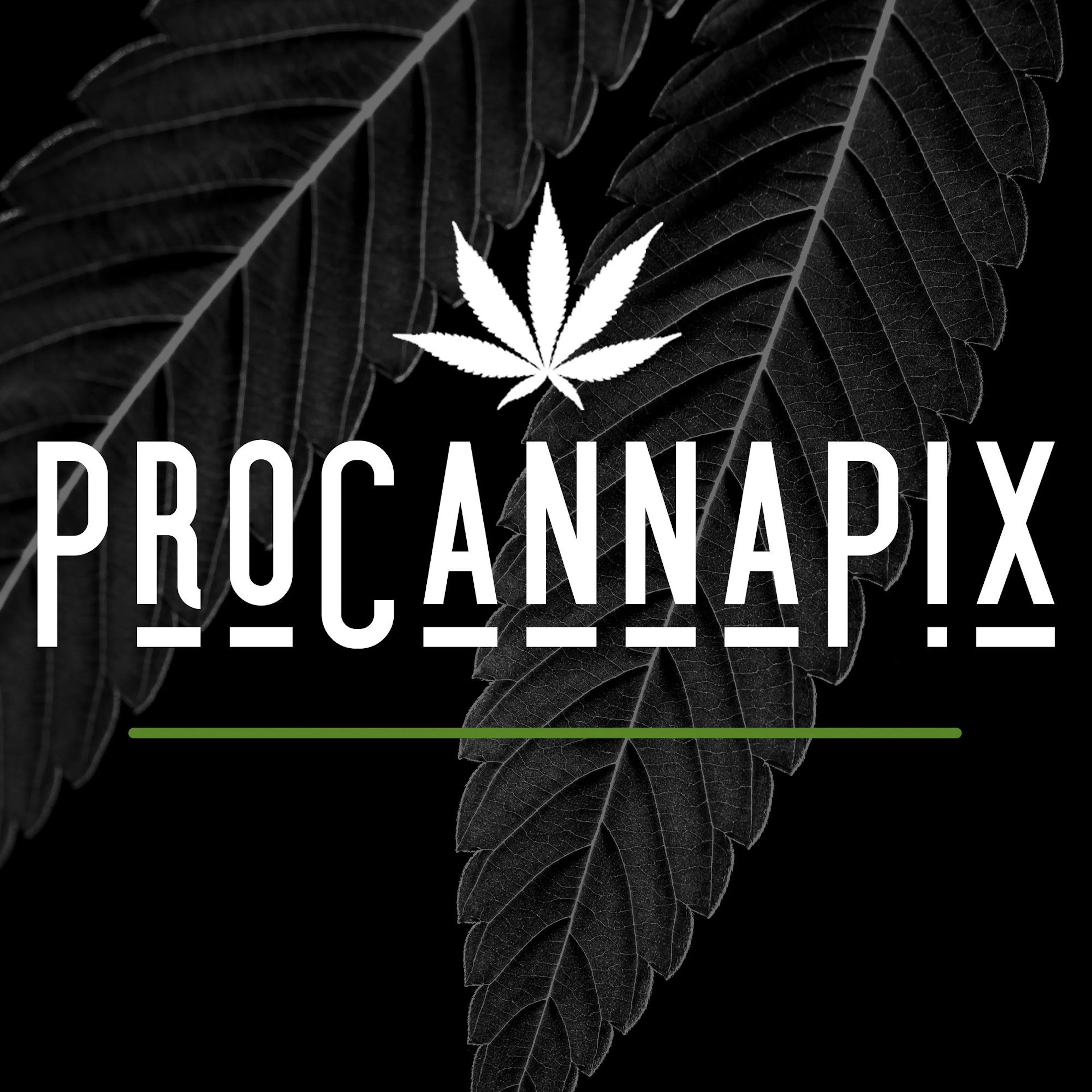 ProCannaPix - Creative Marketing Services logo