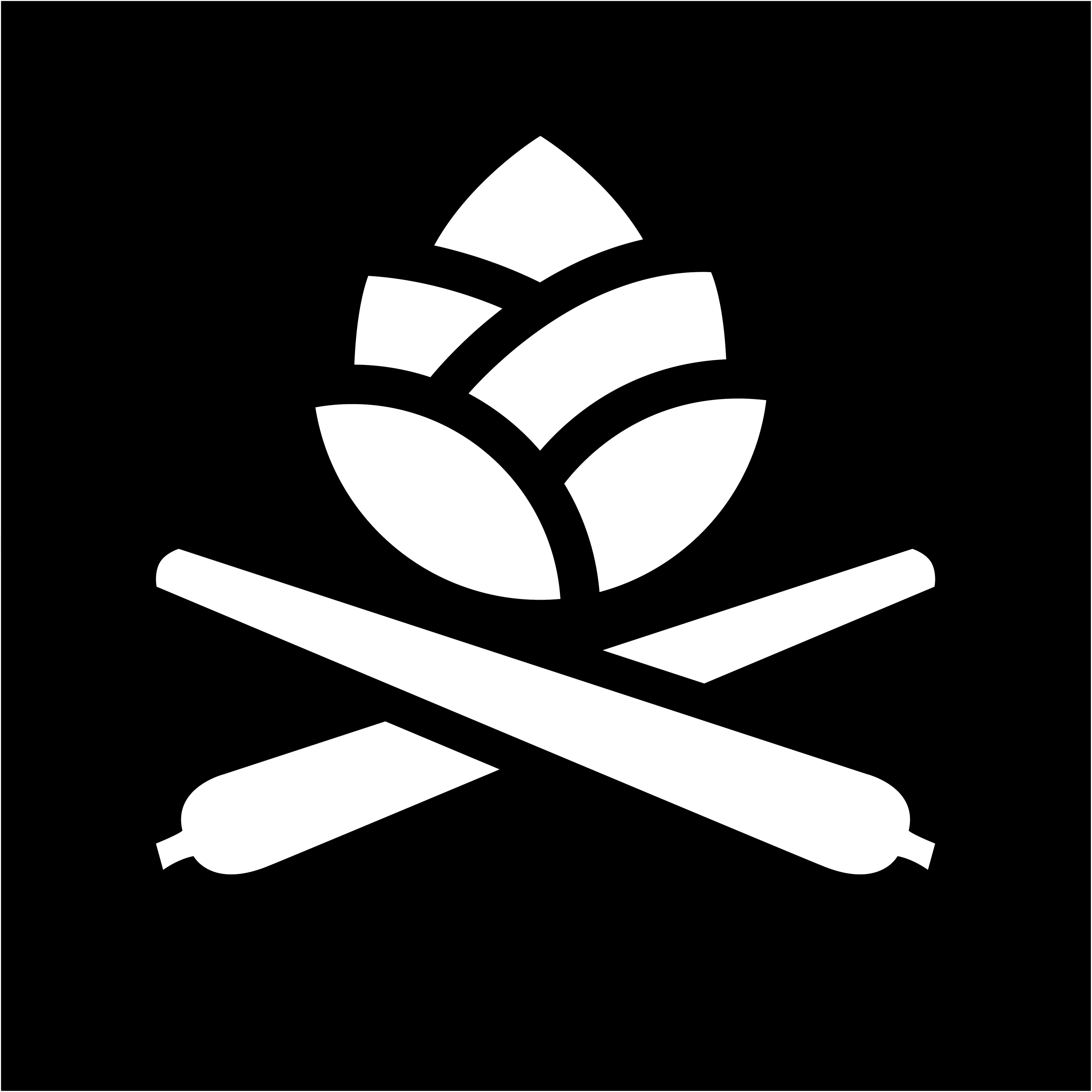 Pineworx™ logo