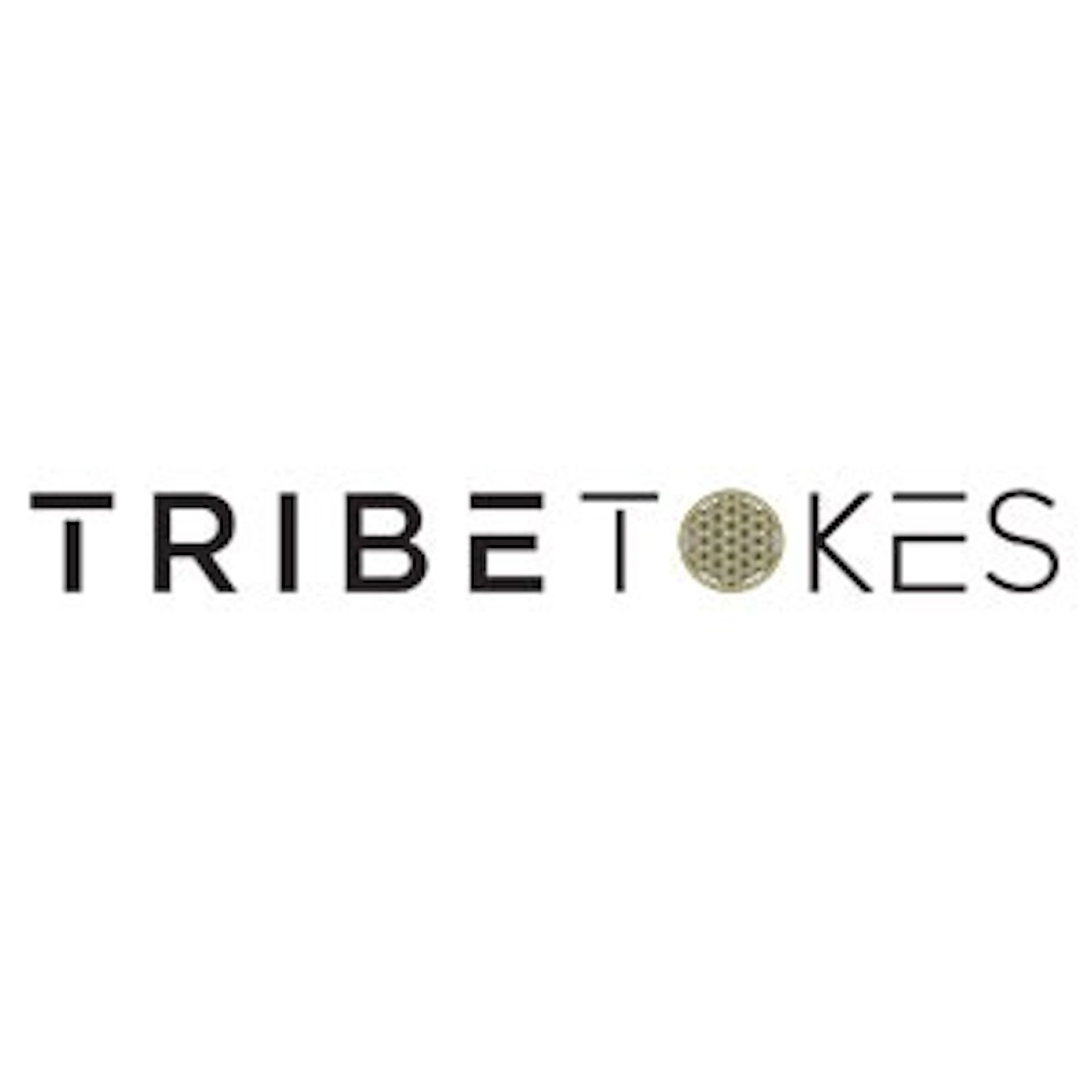 TribeTokes logo