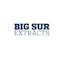 Logo for the brand Big Sur Extracts