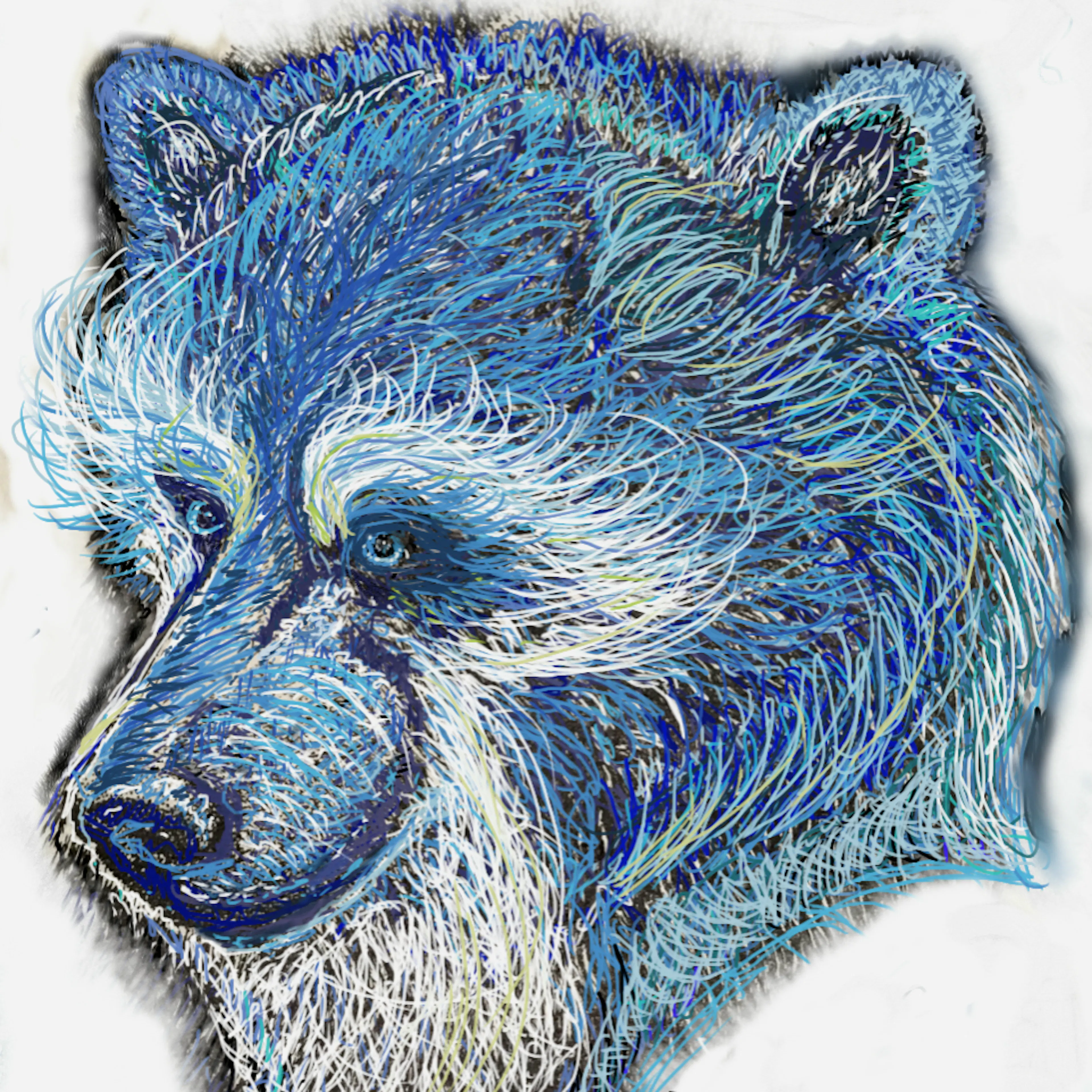Blue Bear Farms, LLC logo