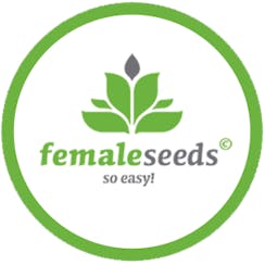 Female Seeds logo