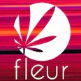 Fleur | Pixie Stix Pre-Roll 1g