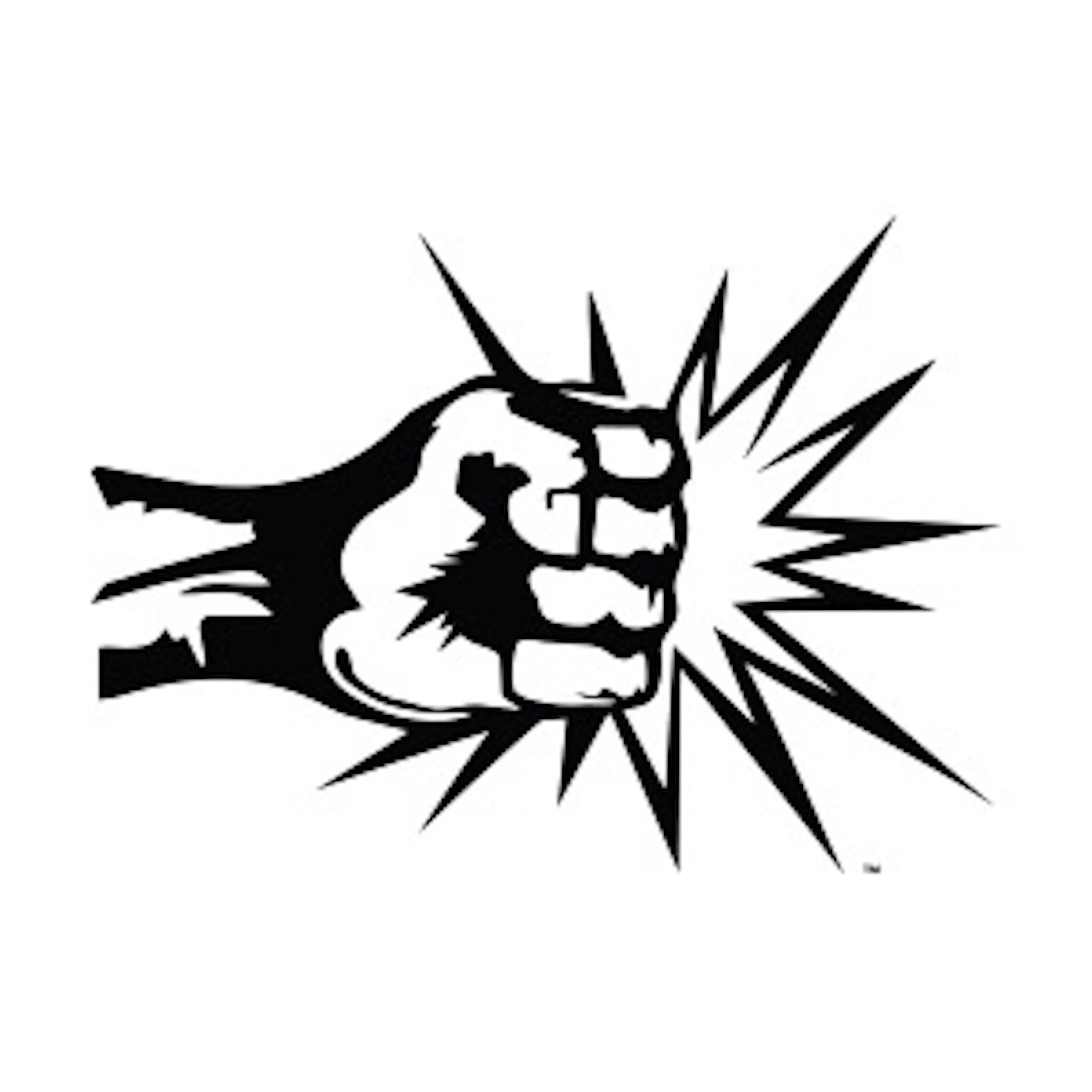 Punch logo
