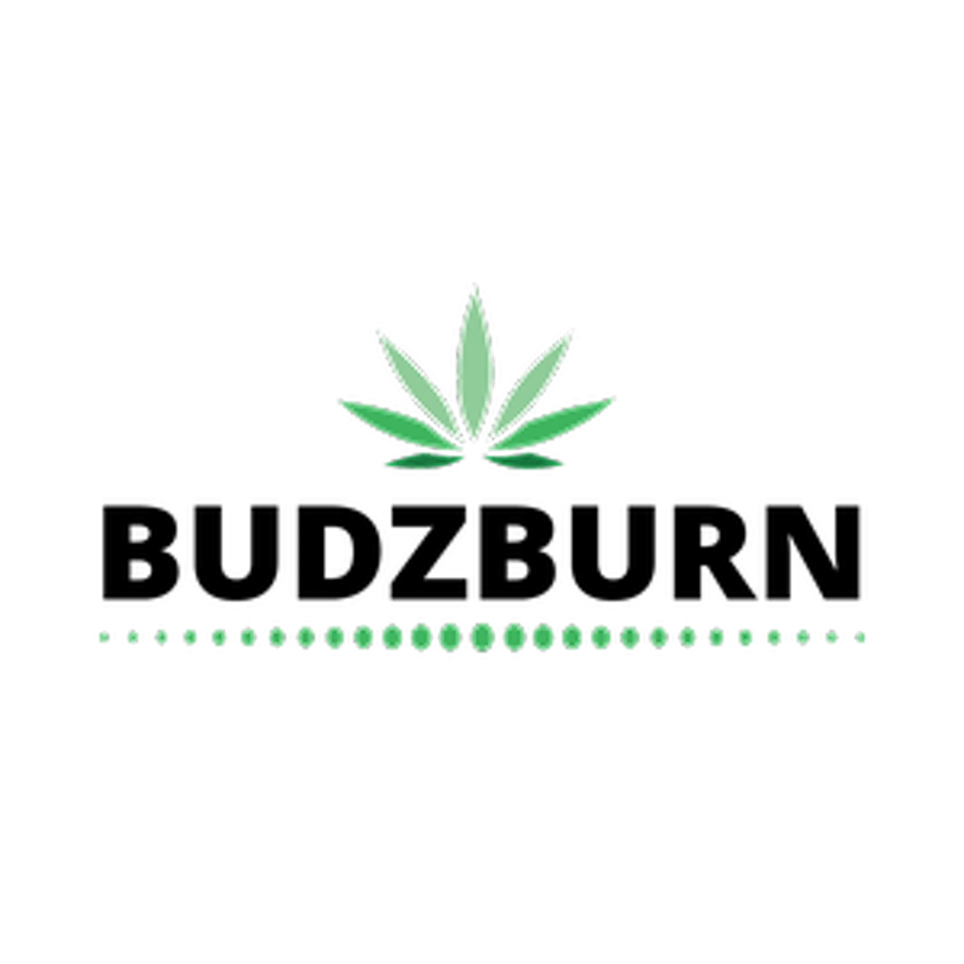 Budzburn Wholesale Delta 8 logo