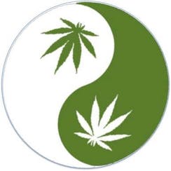 GangaSnap Cookies logo