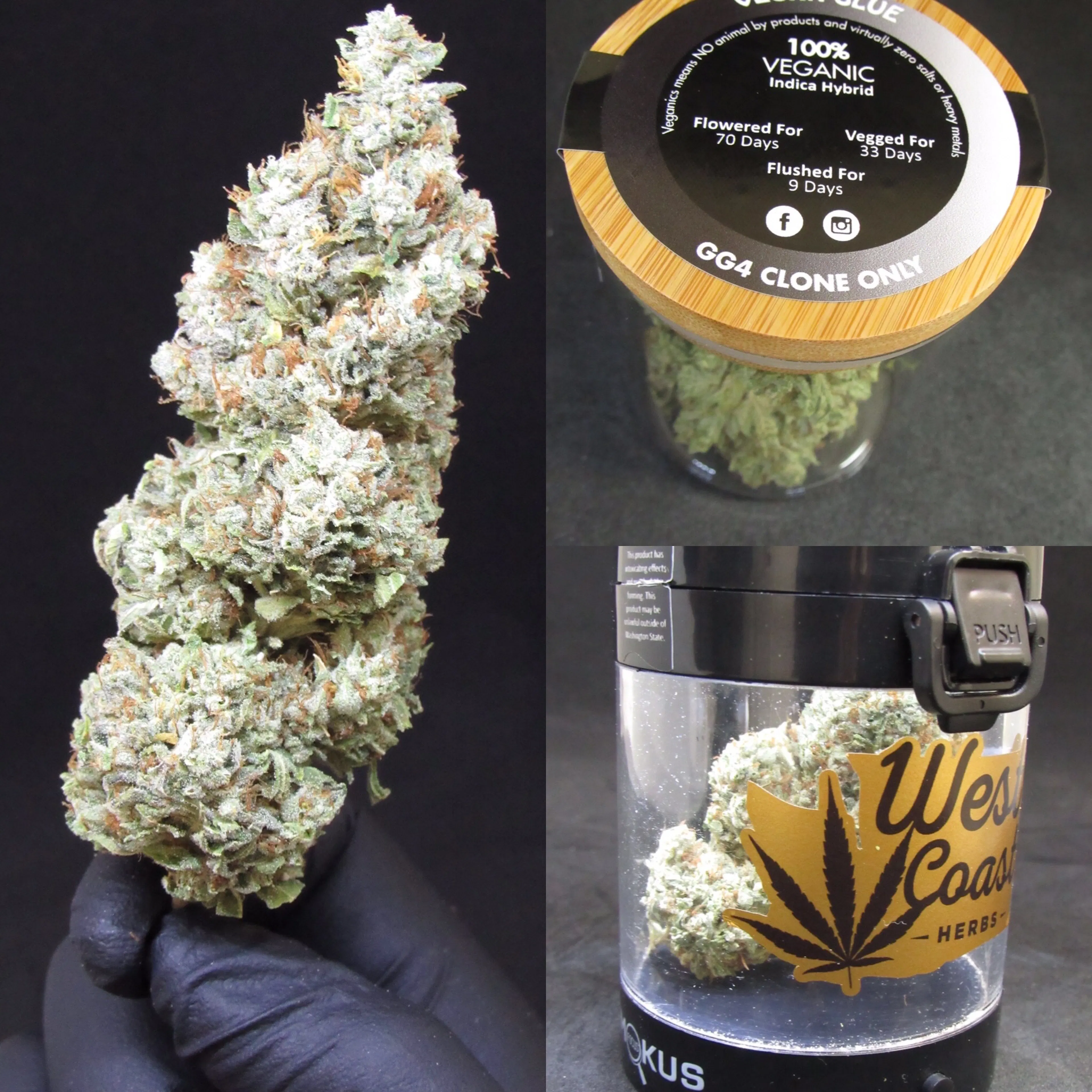 West Coast Herbs logo