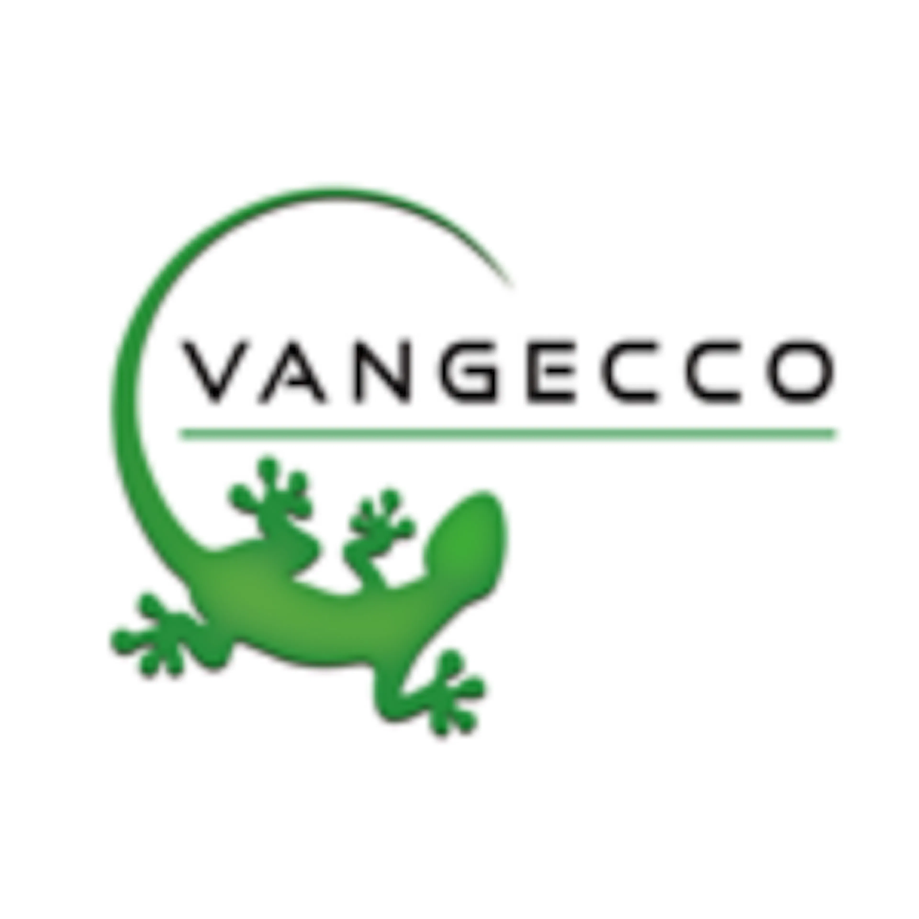 Vangecco logo