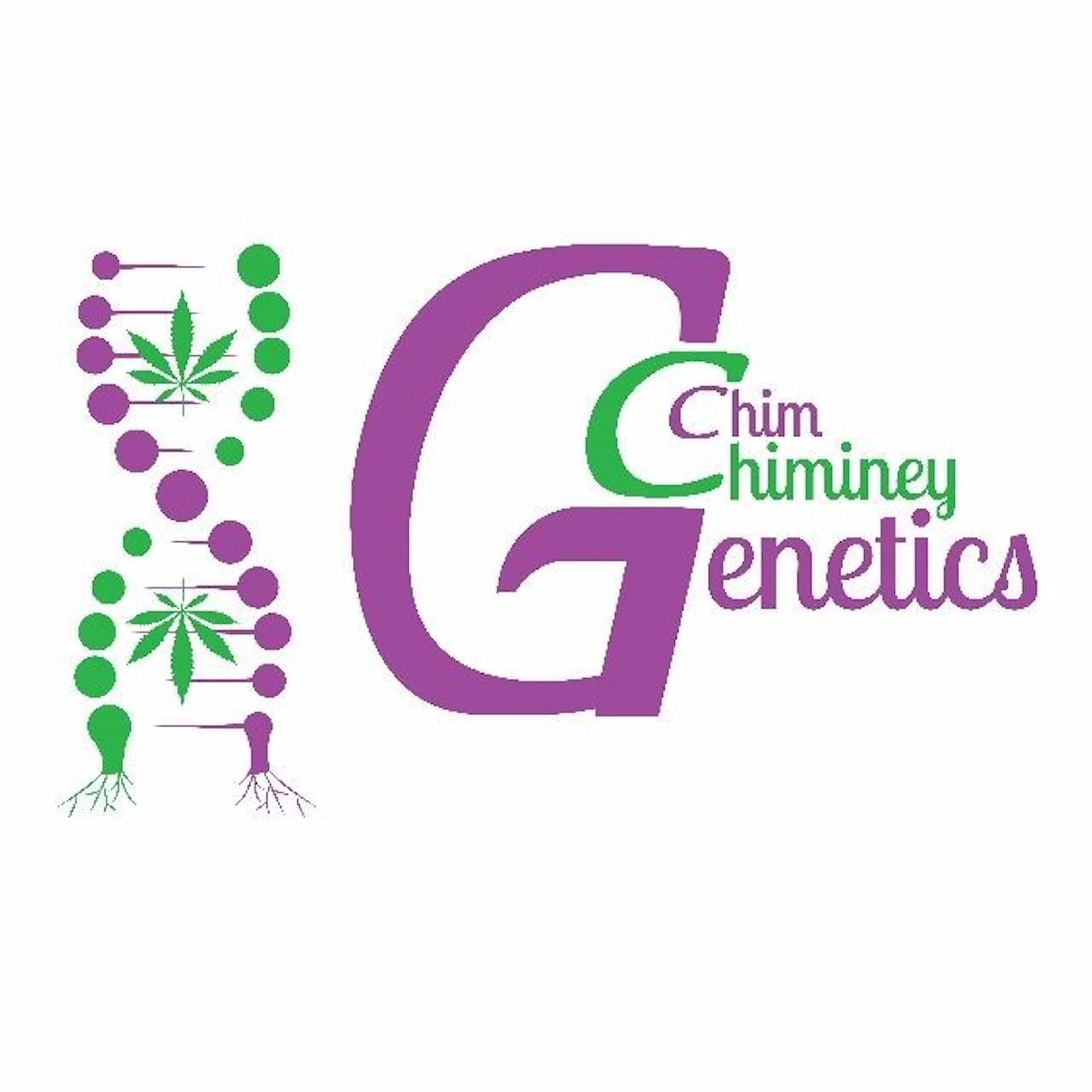 Chim Chiminey Genetics logo