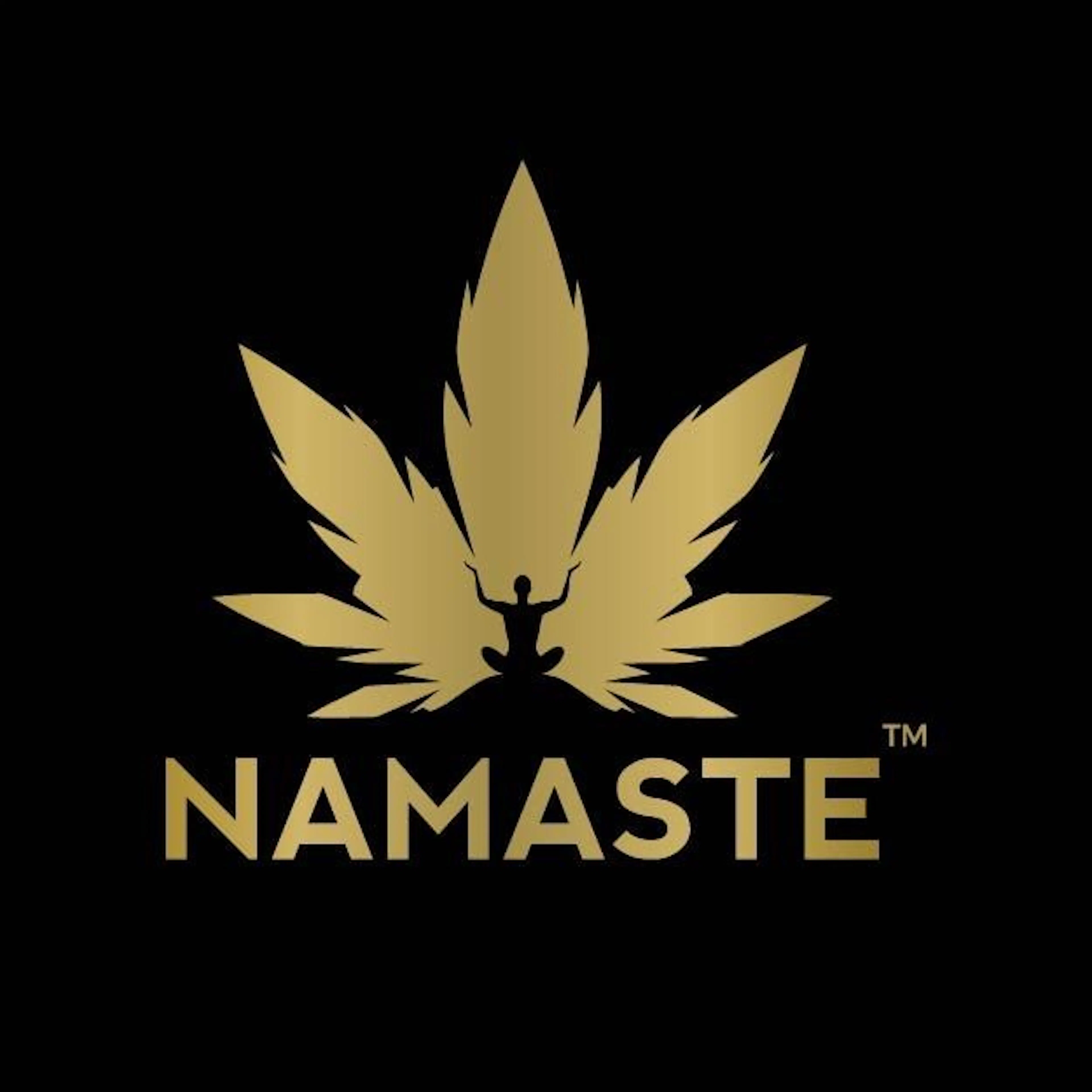 Namaste logo