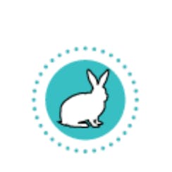 White Rabbit logo