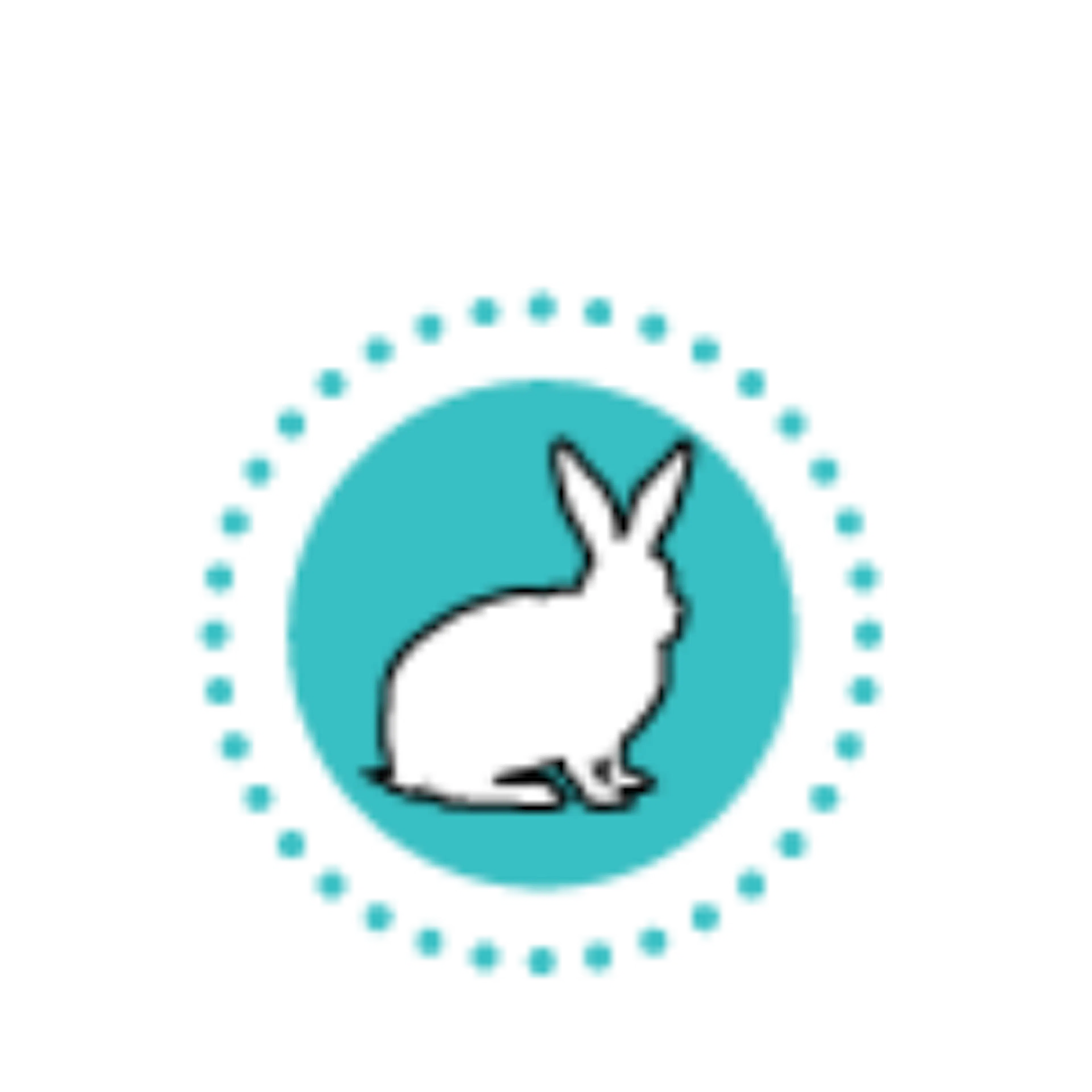White Rabbit logo