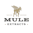 MULE | Mule Fuel x Gold Dust 1g Infused Preroll