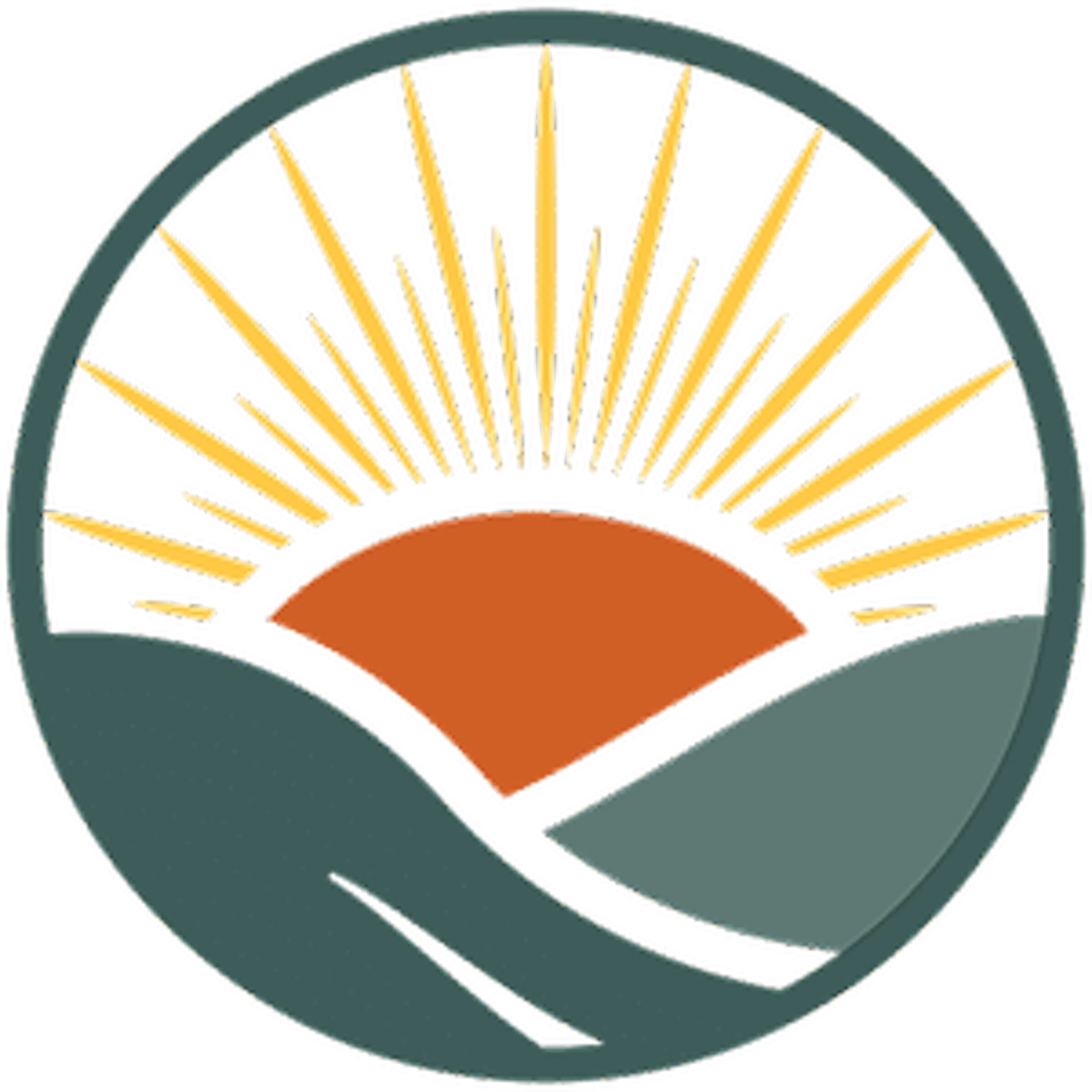 BOAZ Pharmaceuticals Inc. logo