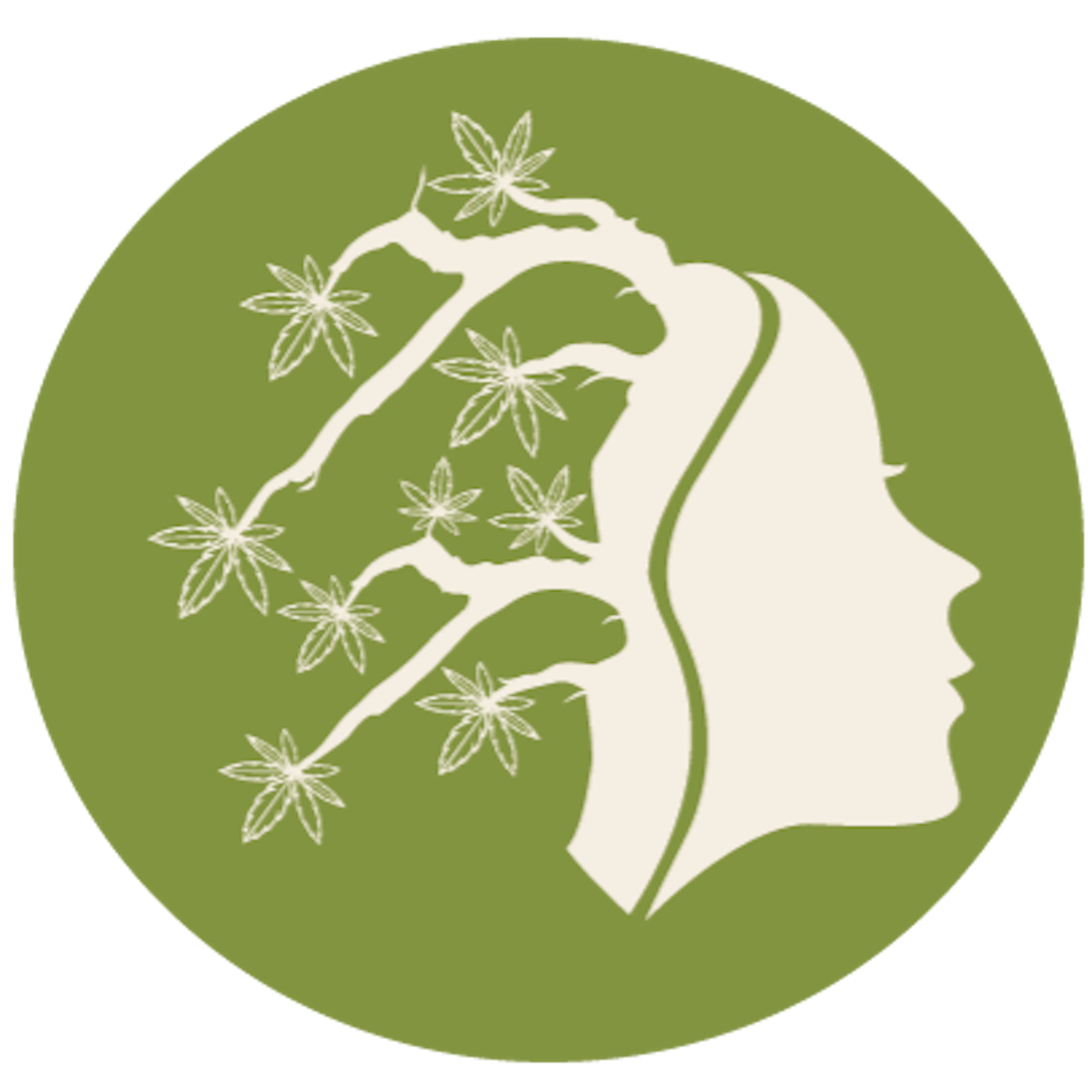 WindCBD logo