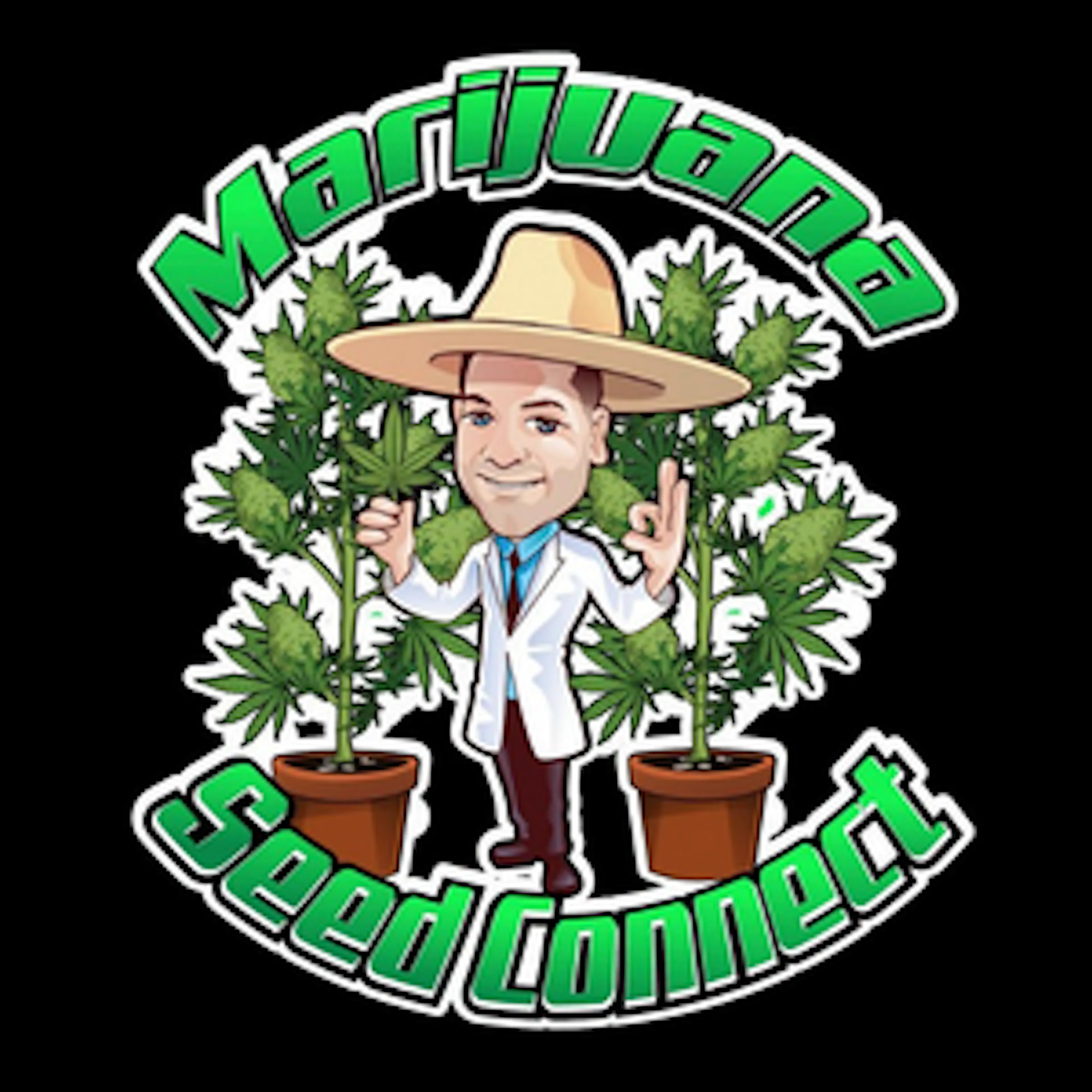 The Seed Connect logo