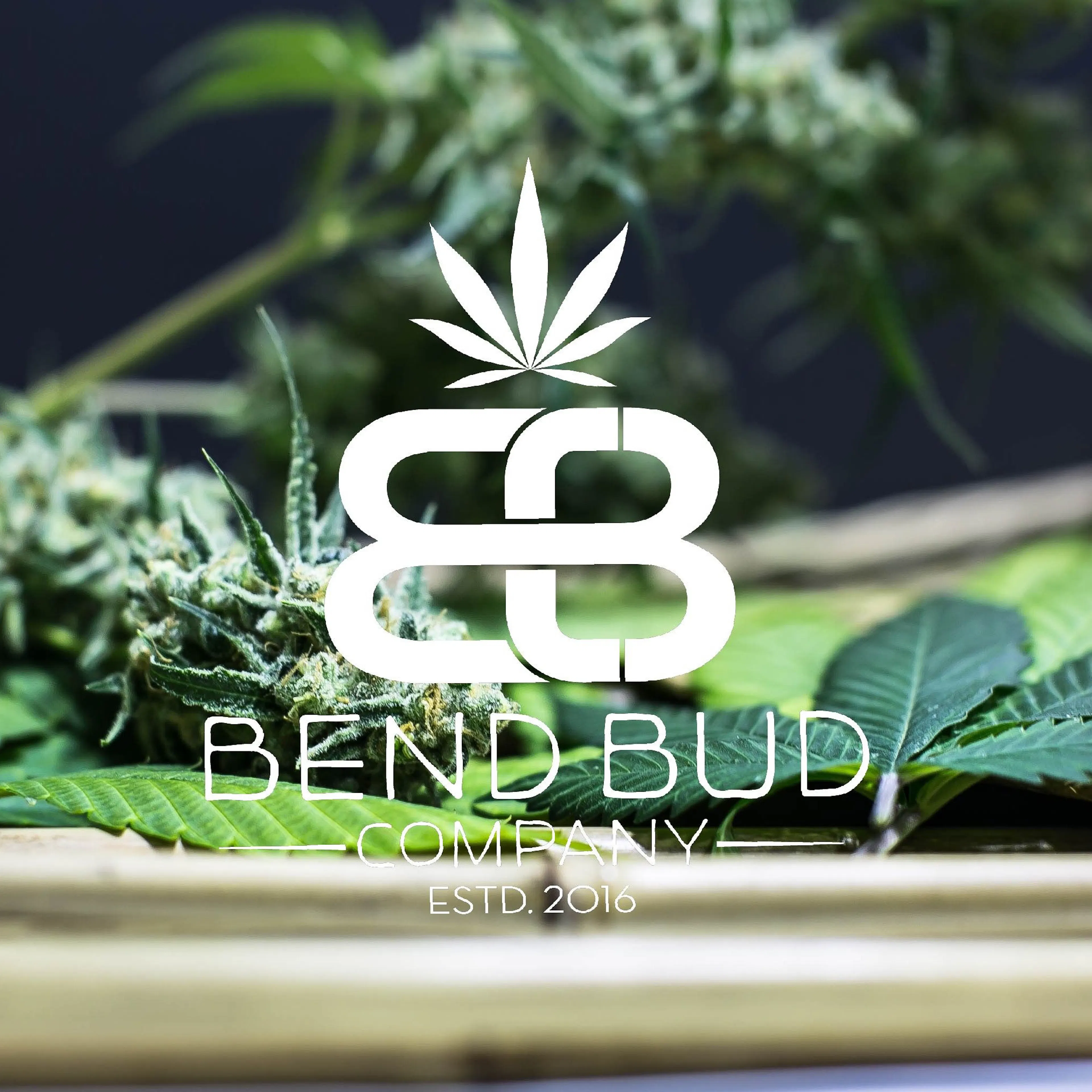 Bend Bud Company logo