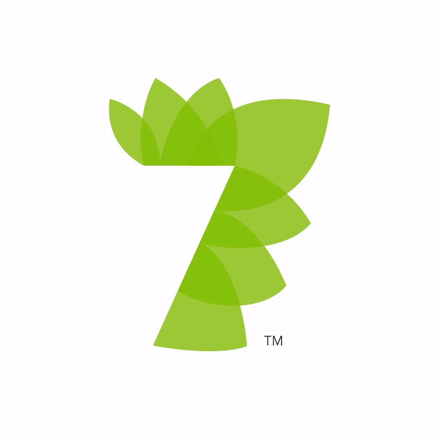 7 Rays Marketing logo