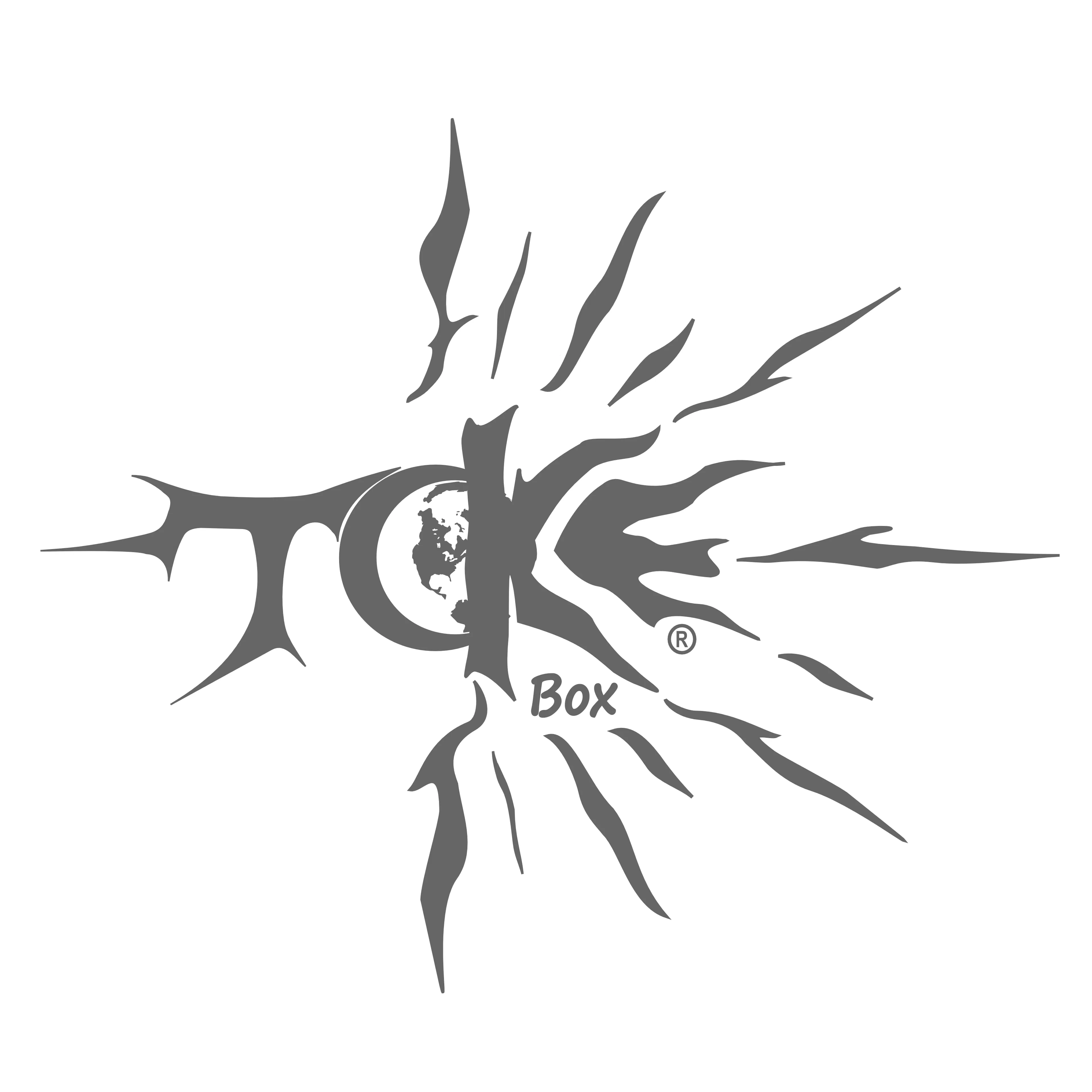 Tokebox logo