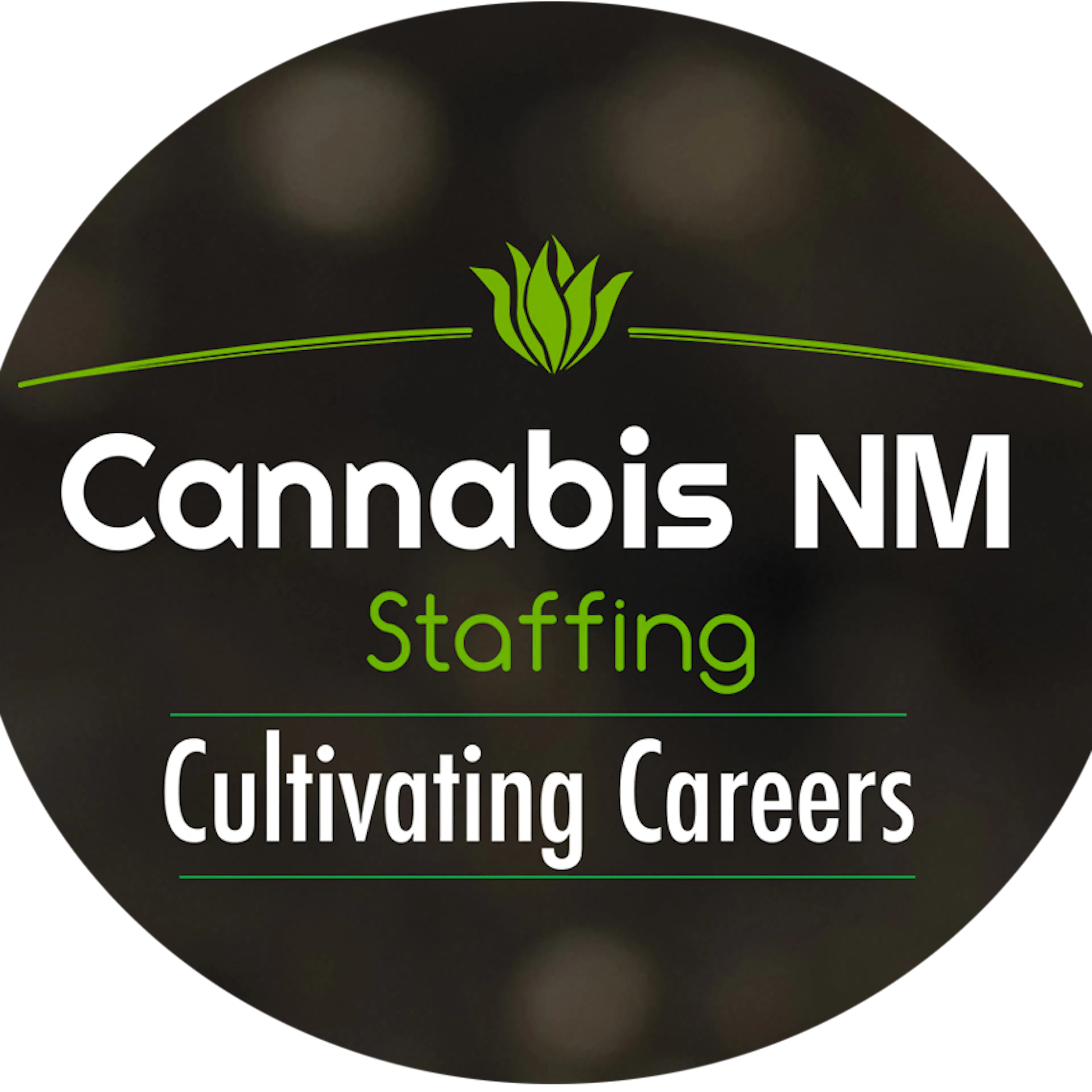 Cannabis NM Staffing, LLC logo