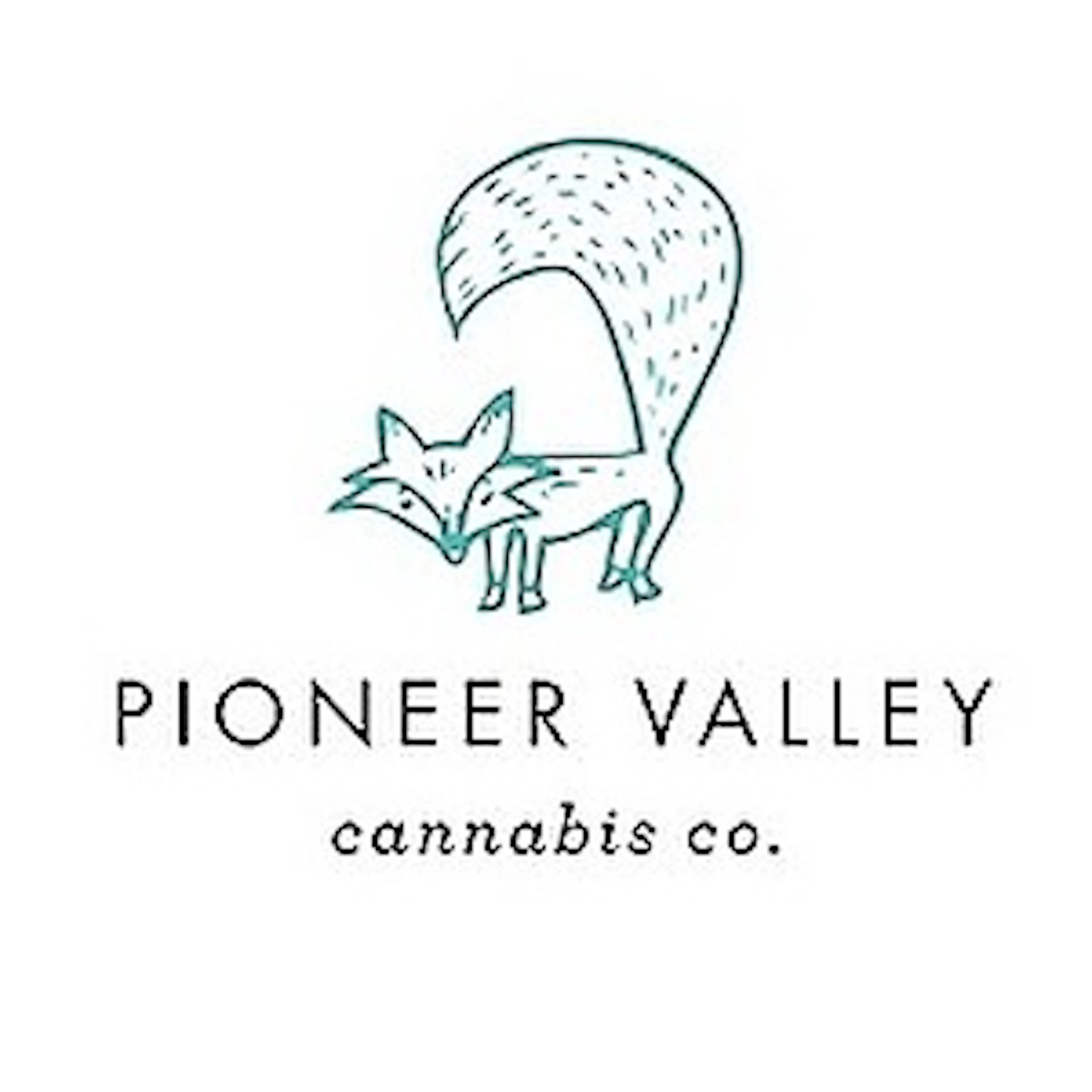 Pioneer Valley Cannabis, Co. logo