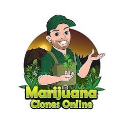 Marijuana Clones Online logo